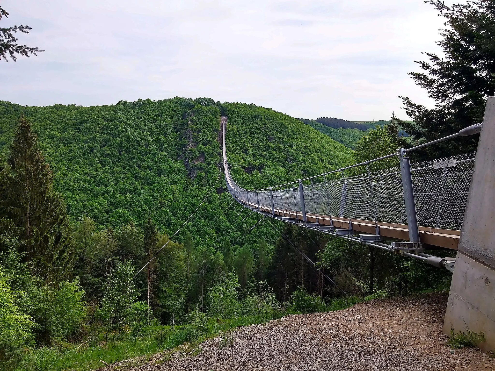 Photo showing: Hängeseilbrücke von der Sosberger Seite