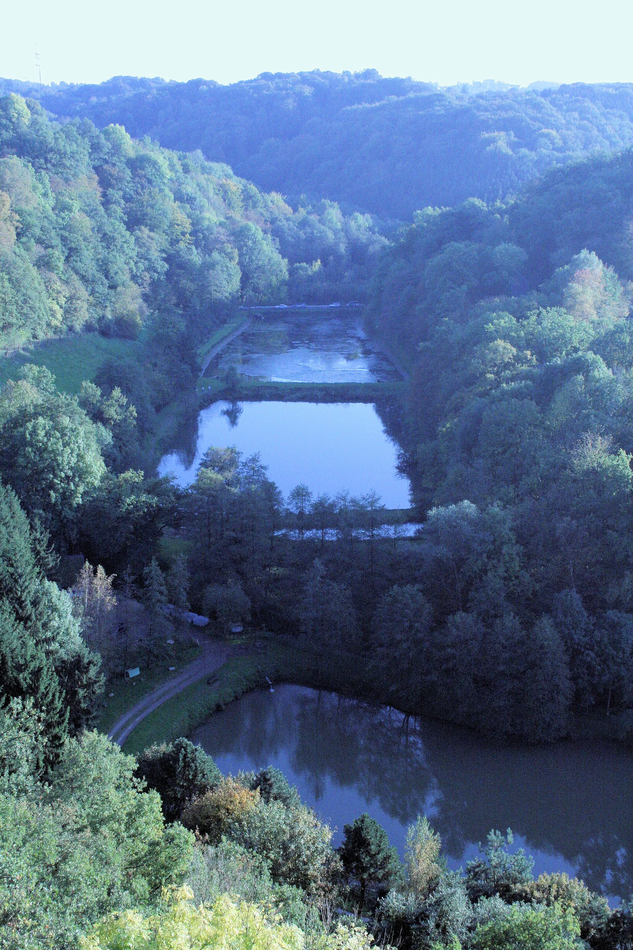 Photo showing: Hennef (Sieg), Naturschutzgebiet Ahrenbachtal