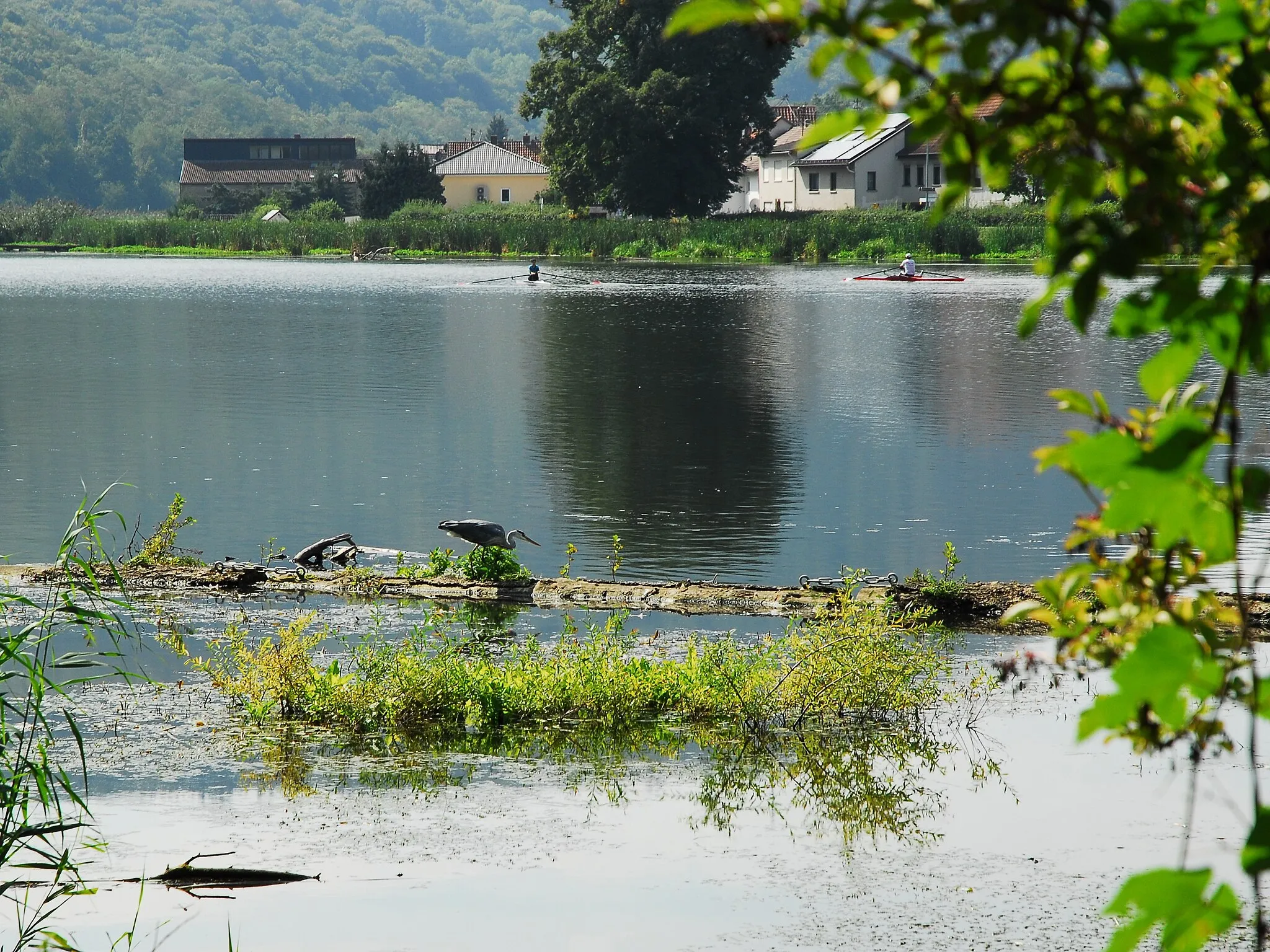 Photo showing: Stausee in Niederhausen (Nahe), östlich des Ortes an der Nahe: Blick vom Ostufer auf die Wasserfläche des Stausees. Im Vordergrund ein Fischreiher, im Hintergrund zwei Sport-Ruderboote.