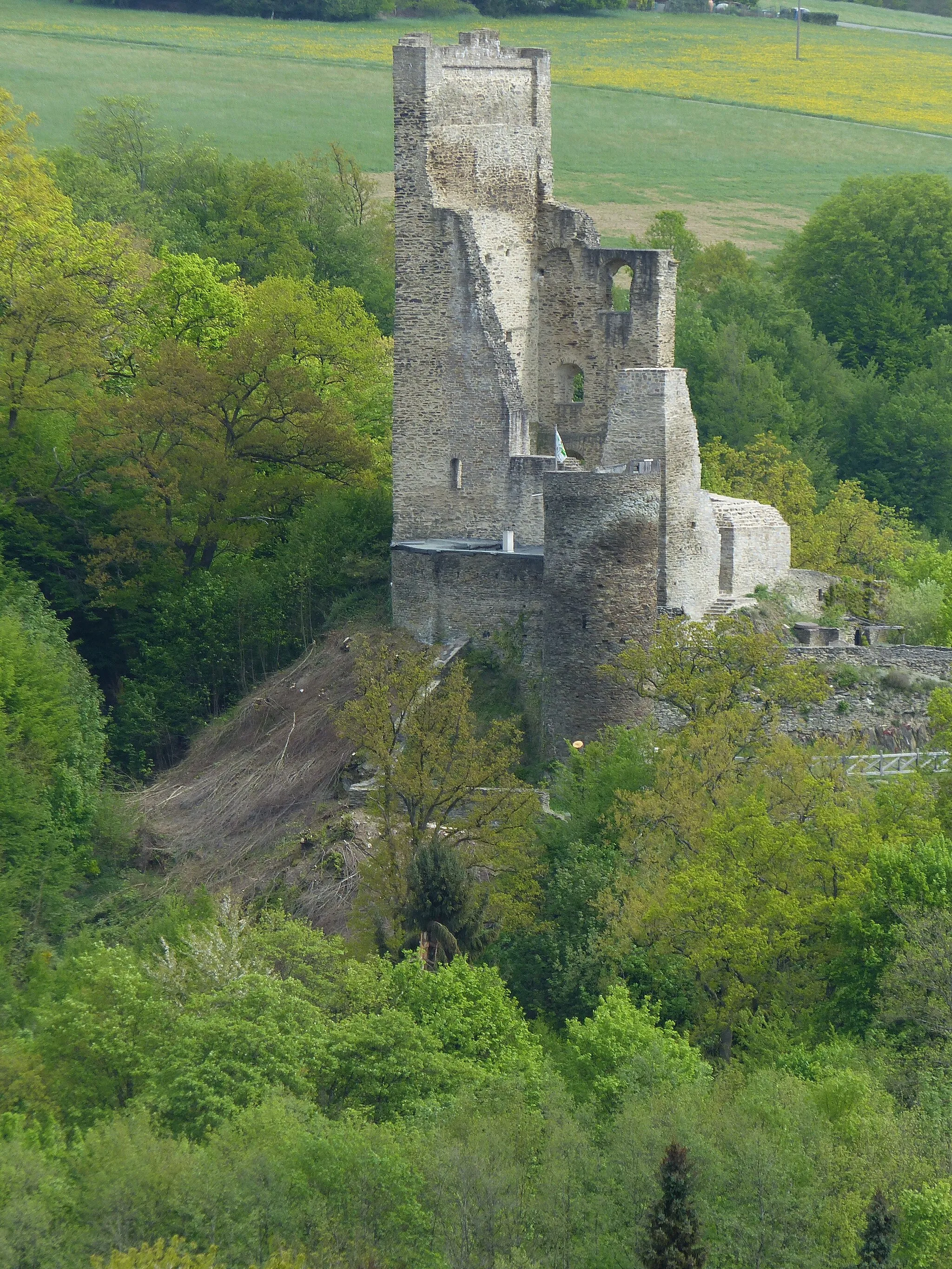 Photo showing: Ruine Reichenstein von Südwesten