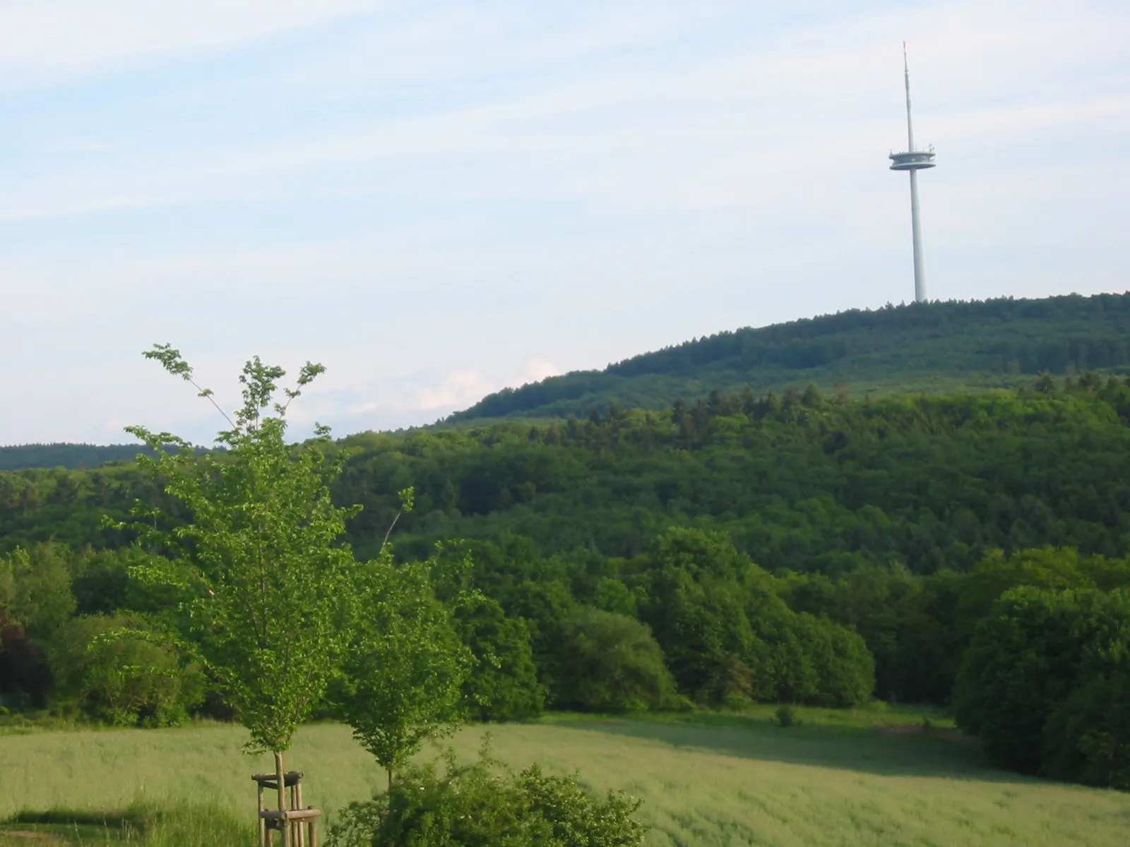 Photo showing: Kühkopf, mountain near Koblenz, Germany
