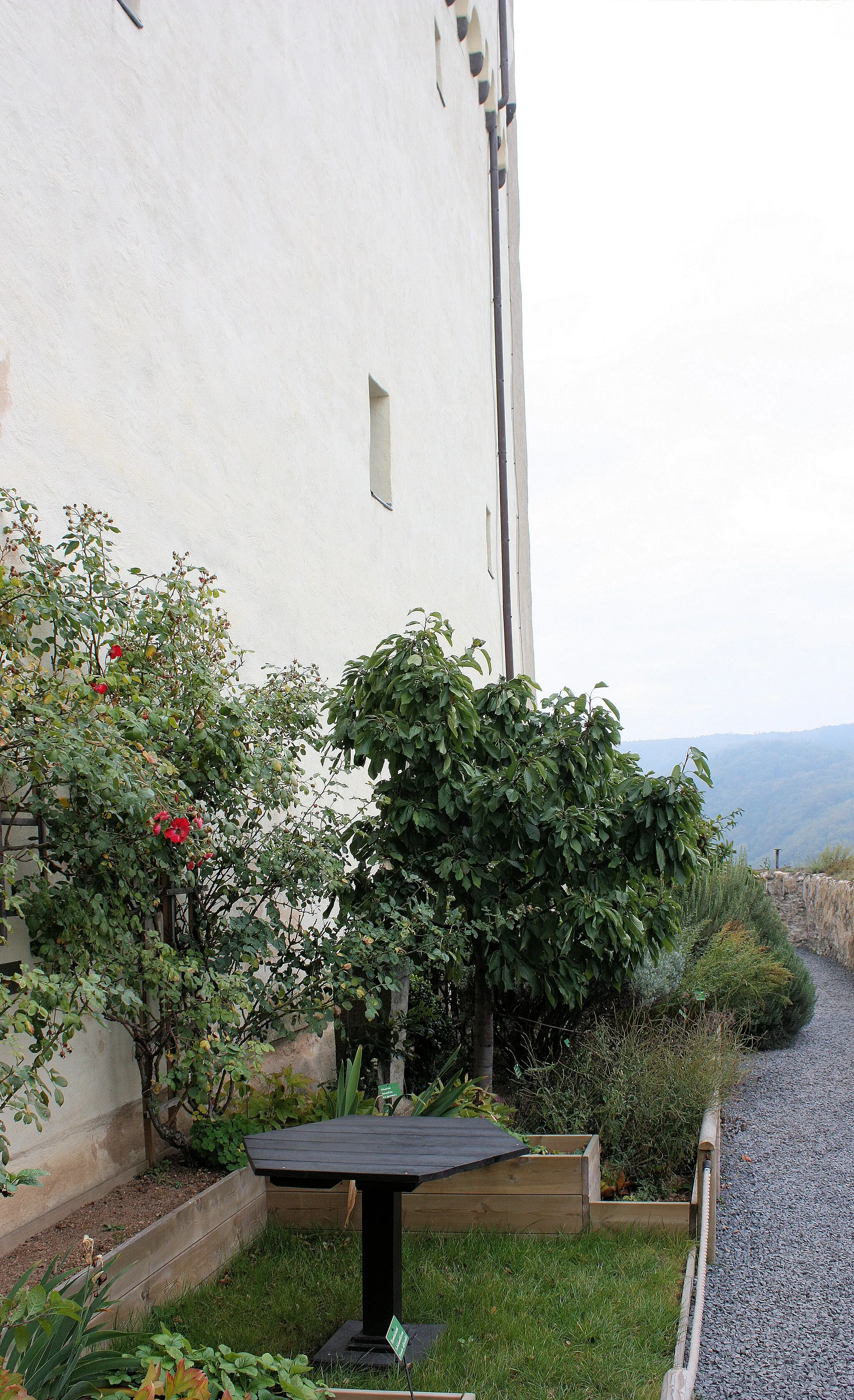 Photo showing: Braubach, castle Marksburg, the herb garden