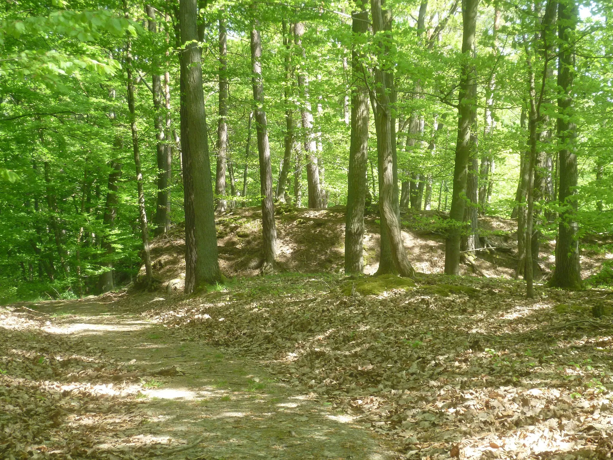 Photo showing: Dritter Abschnittswall der Burg Heidenpütz