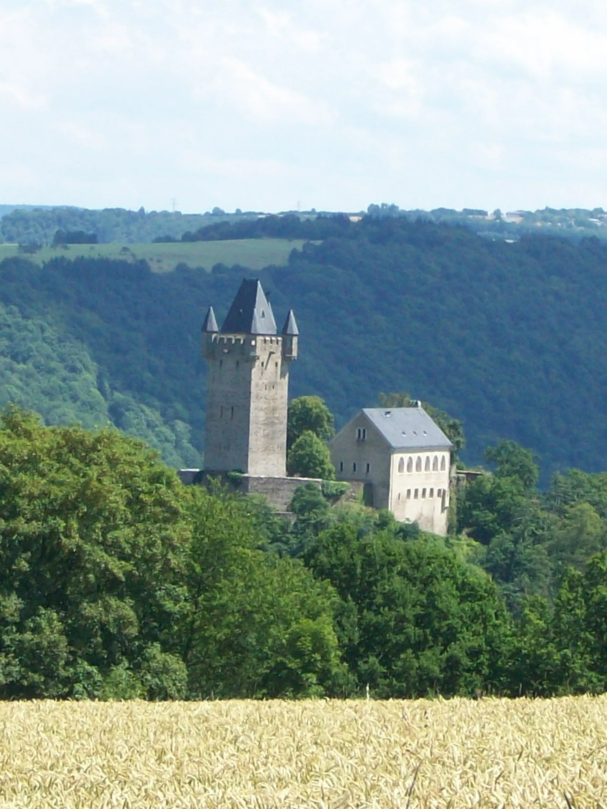 Photo showing: Burg Nassau