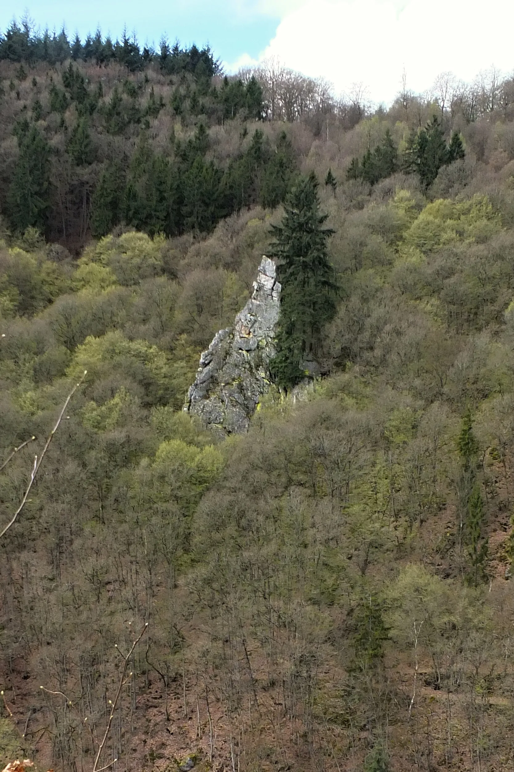 Photo showing: Felspartie Langenstein, Naturdenkmal ND-7140-456 in Schlierschied, Verbandsgemeinde Kirchberg, Hunsrück