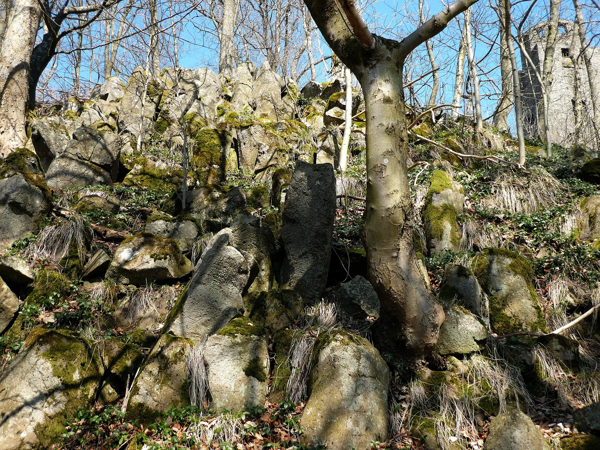 Photo showing: Basalt blocks on Hohe Acht, Eifel