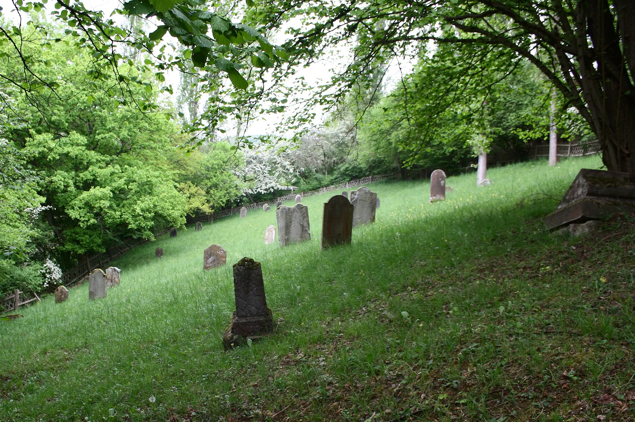 Photo showing: Jüdischer Friedhof, Rheinbrohl, Landkreis Neuwied, Rheinland-Pfalz, Deutschland