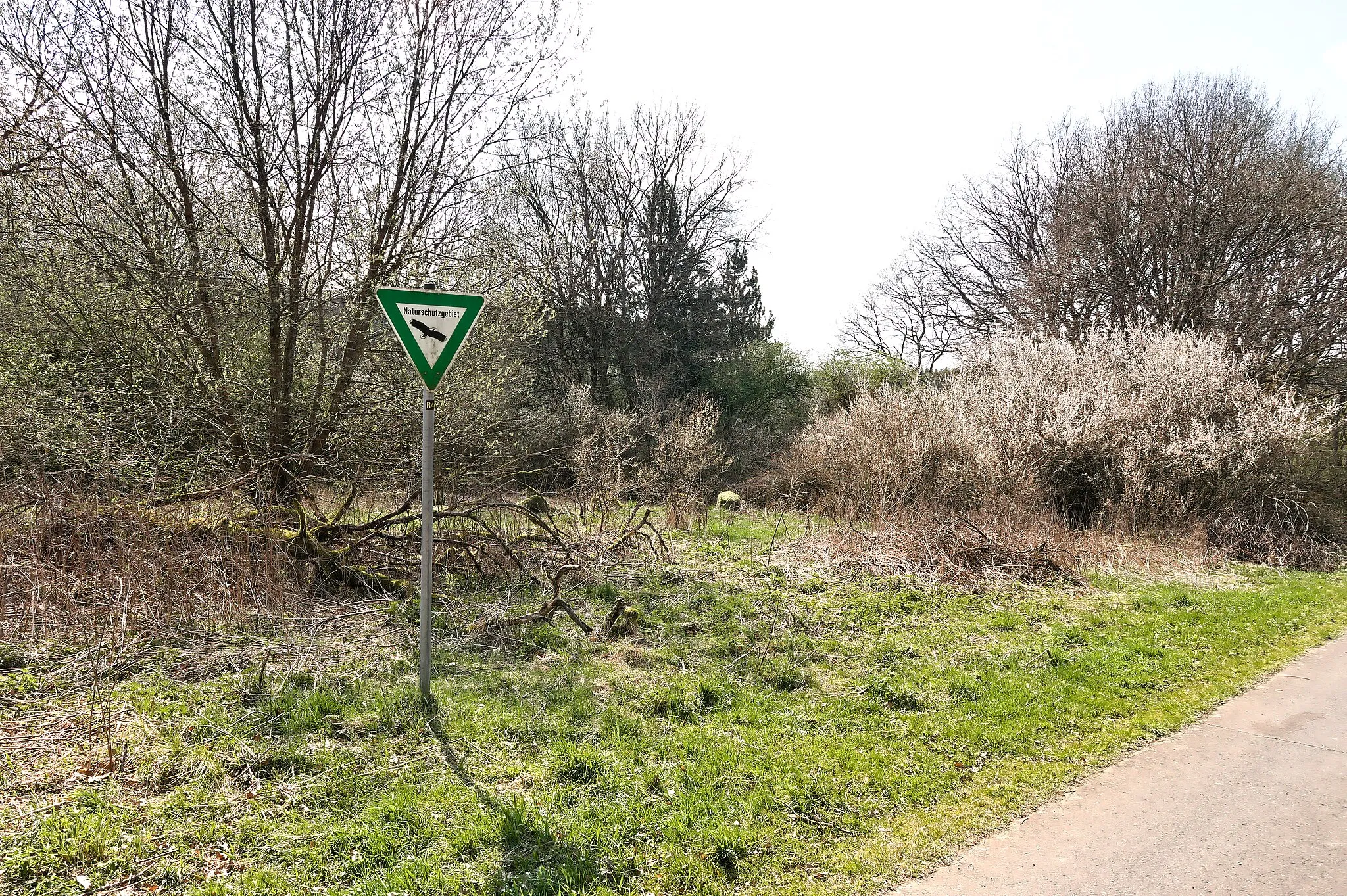 Photo showing: Natural reserve "Quellgebiet Enspeler Bach", 7143-049, near Bellingen, Westerwaldkreis, Germany. Taken 500m south-west of Bellingen viewing towards southwast