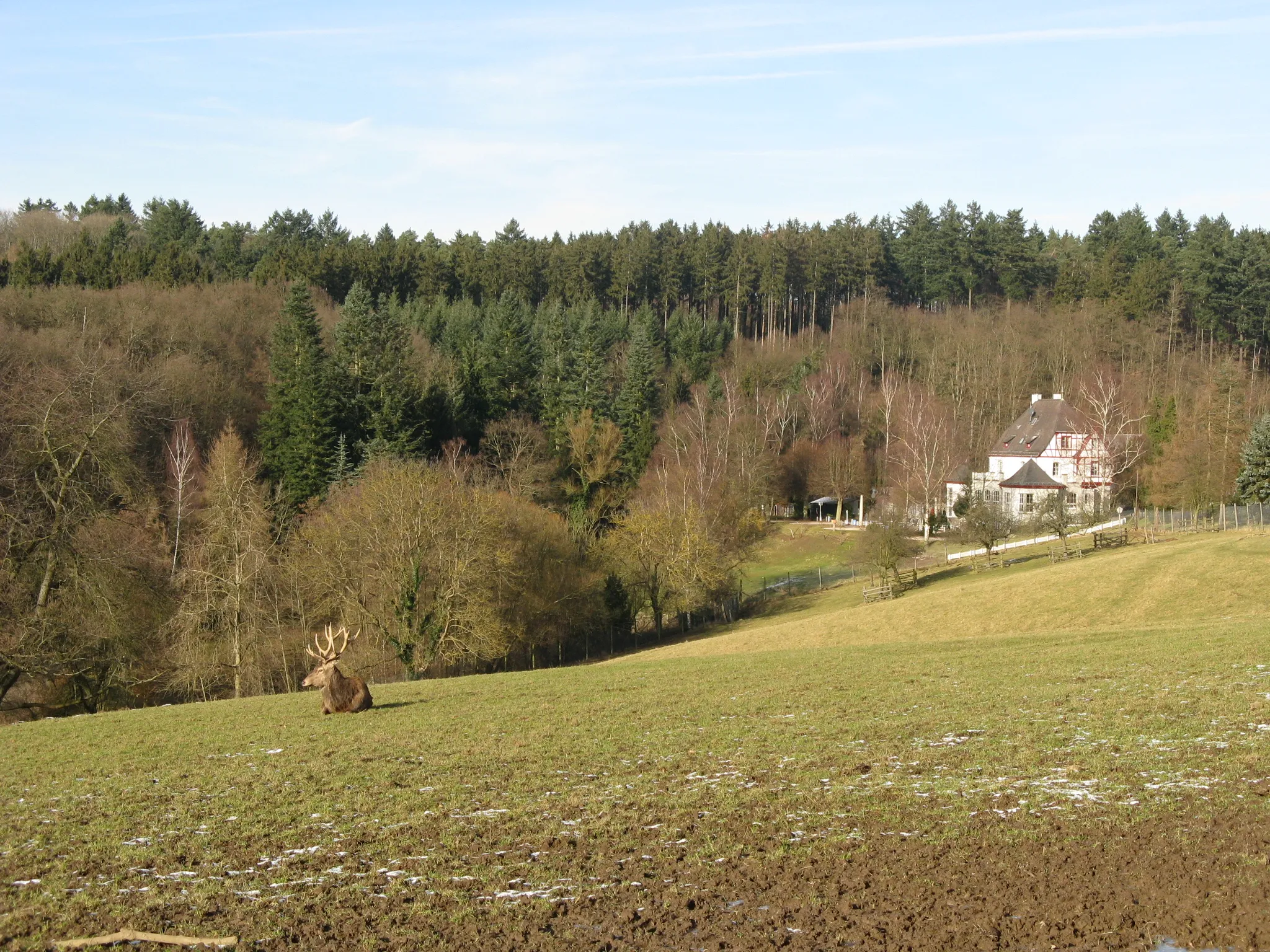 Photo showing: Remstecken, deer park near Koblenz, Germany