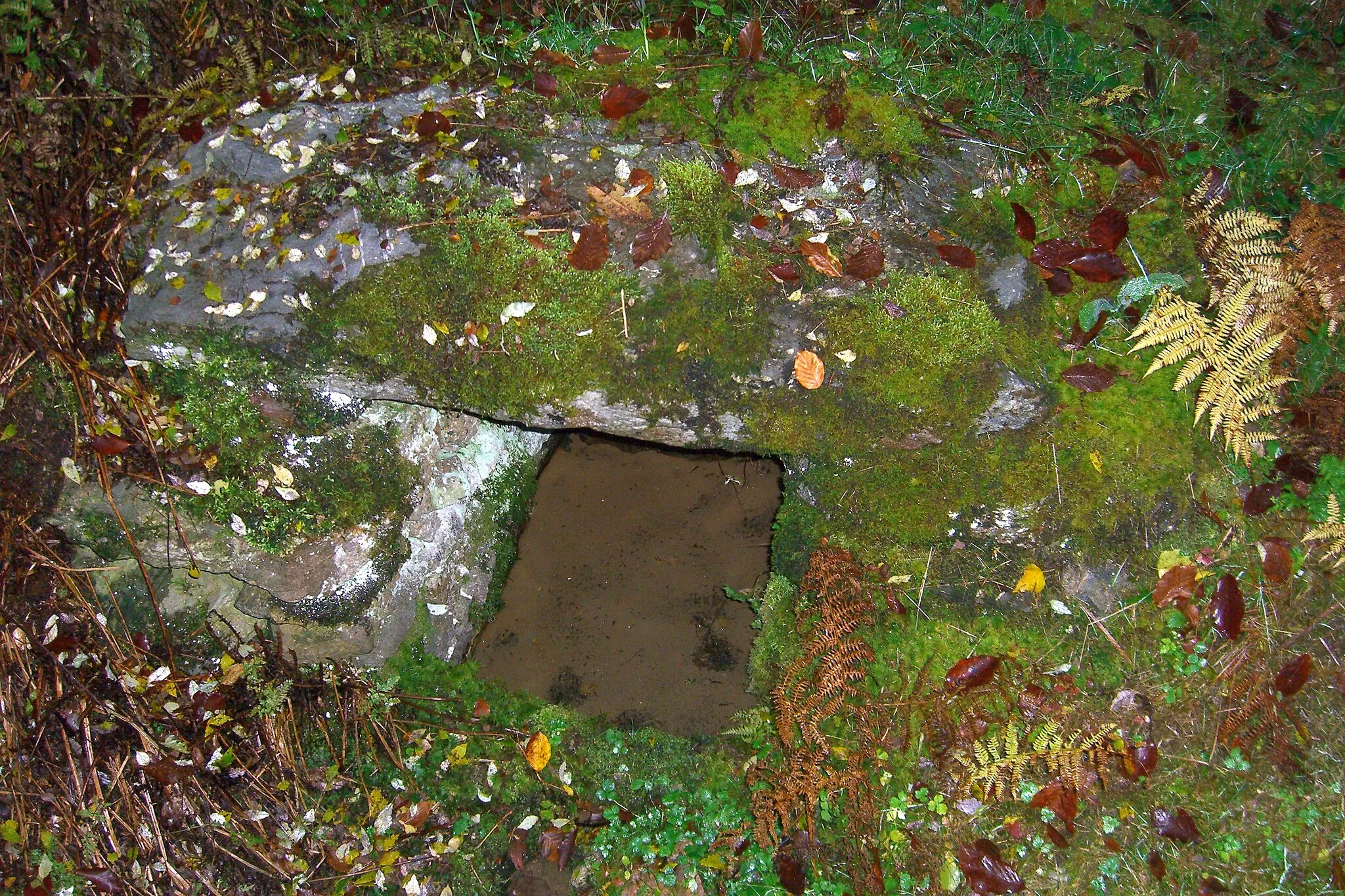 Photo showing: Aldegundisbrunnen: Sehenswürdigkeit am Damscheider Rundwanderweg Aldegundis