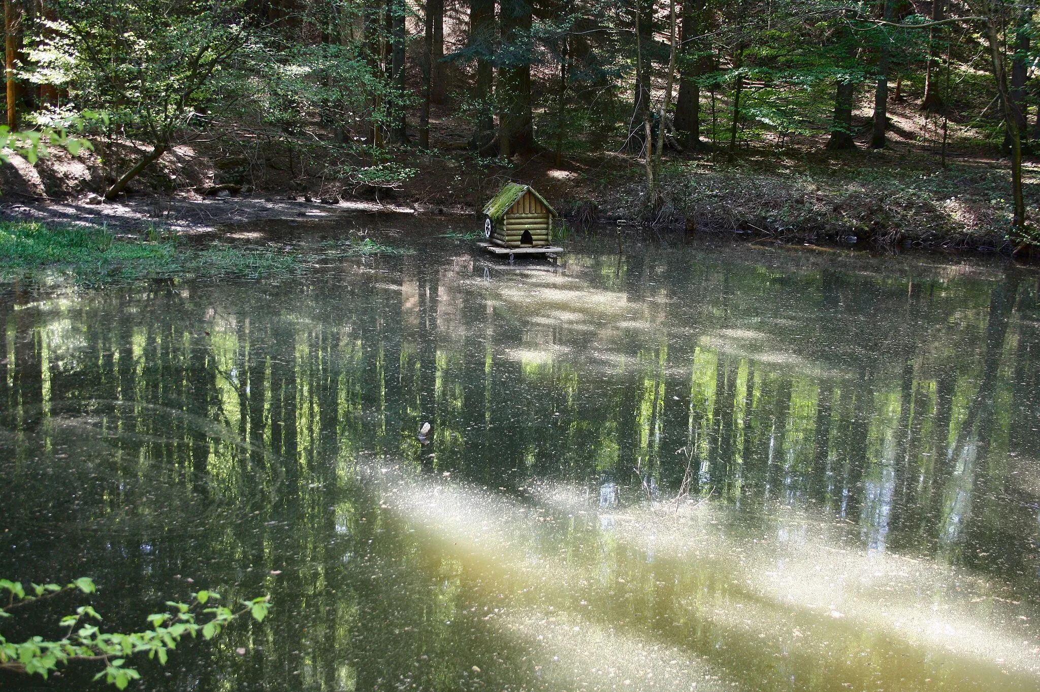 Photo showing: Schwarzes Meer am Brexbach, am Oberlauf des Brexbach vor Höhr-Grenzhausen, Westerwald, Rheinland-Pfalz, Deutschland