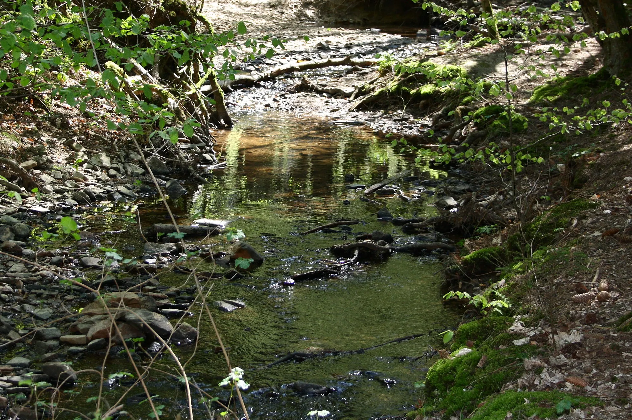 Photo showing: Der Oberlauf des Brexbach vor Höhr-Grenzhausen, Westerwald, Rheinland-Pfalz, Deutschland