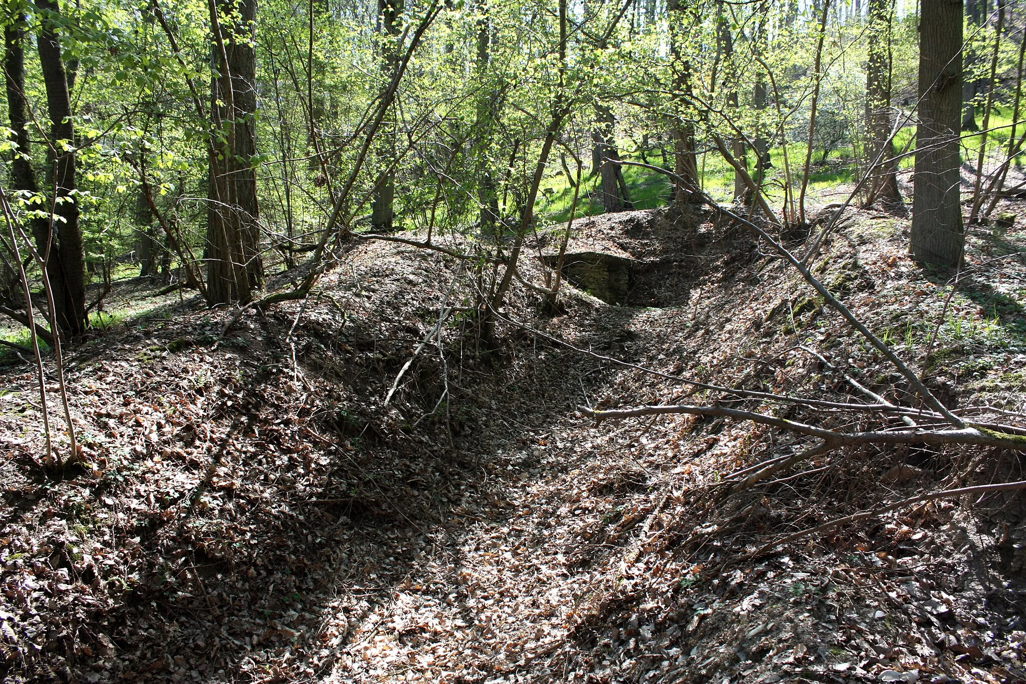Photo showing: Ehemaliger Schießstand im Wolfer Wald bei Traben-Trarbach mit bunkerähnlichem Unterstand im Zielbereich links