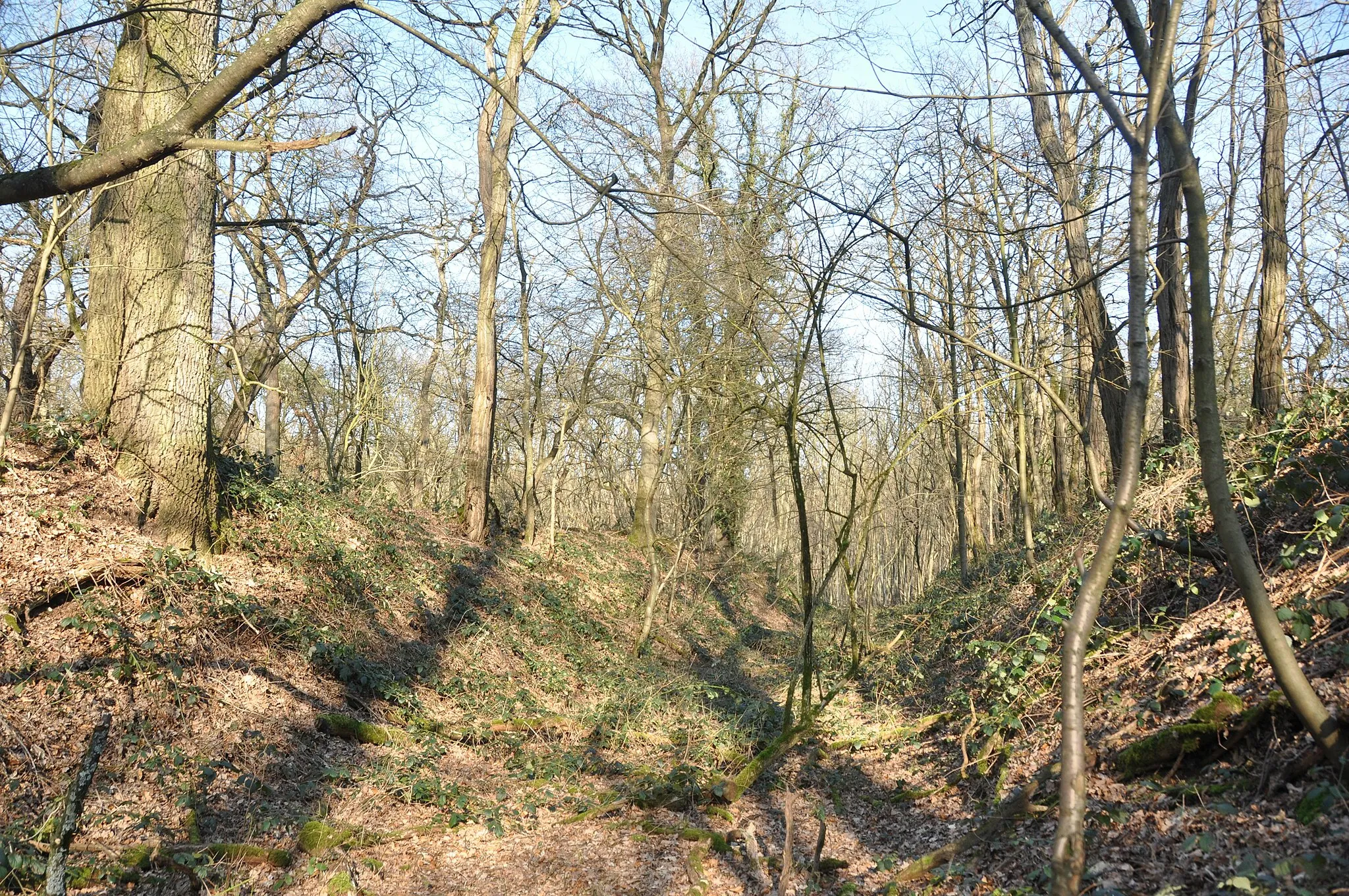 Photo showing: Überwachsener Erdwall mit Schießbahn