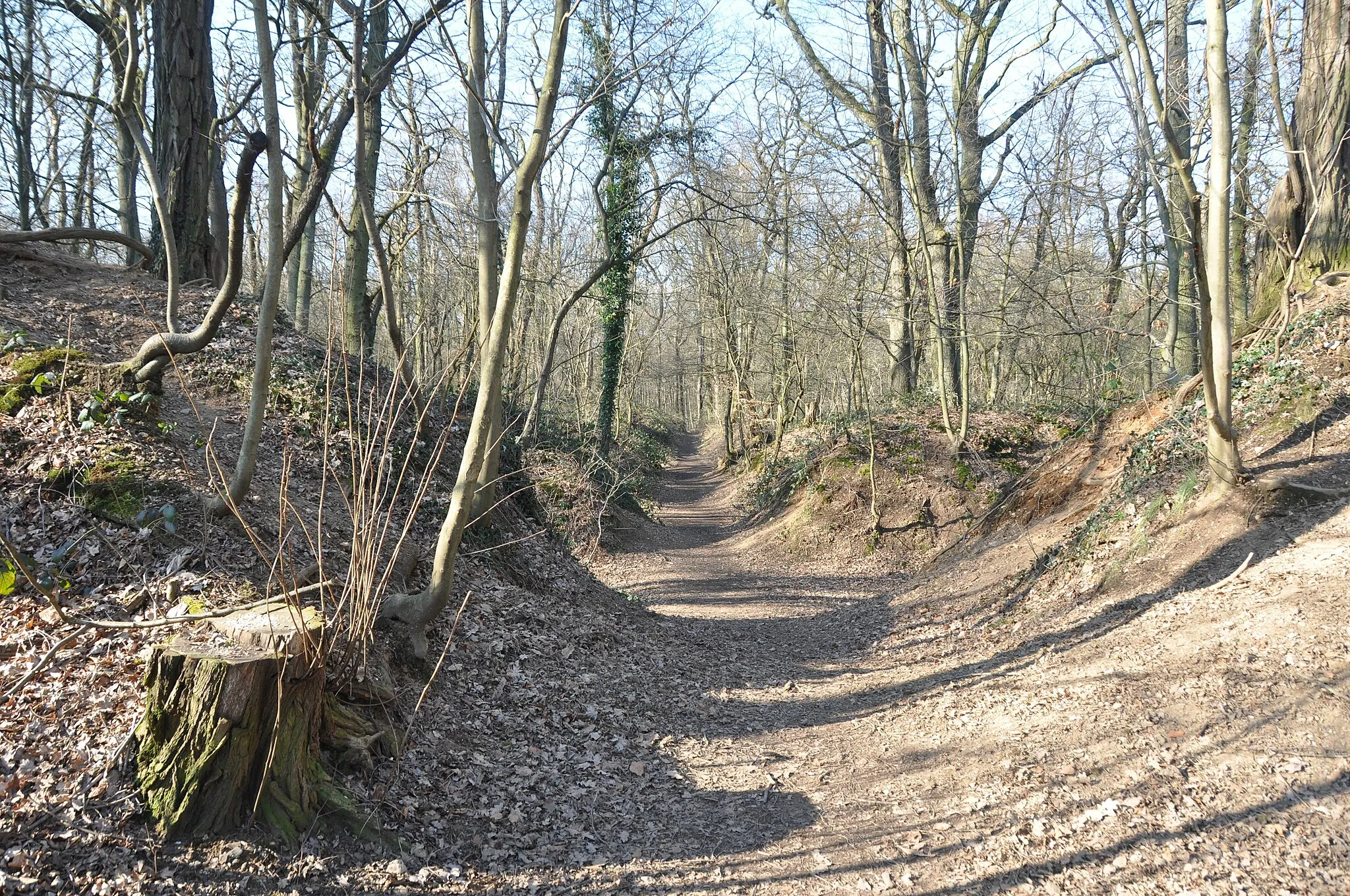 Photo showing: Spazierweg, der der die Schießbahnen quert