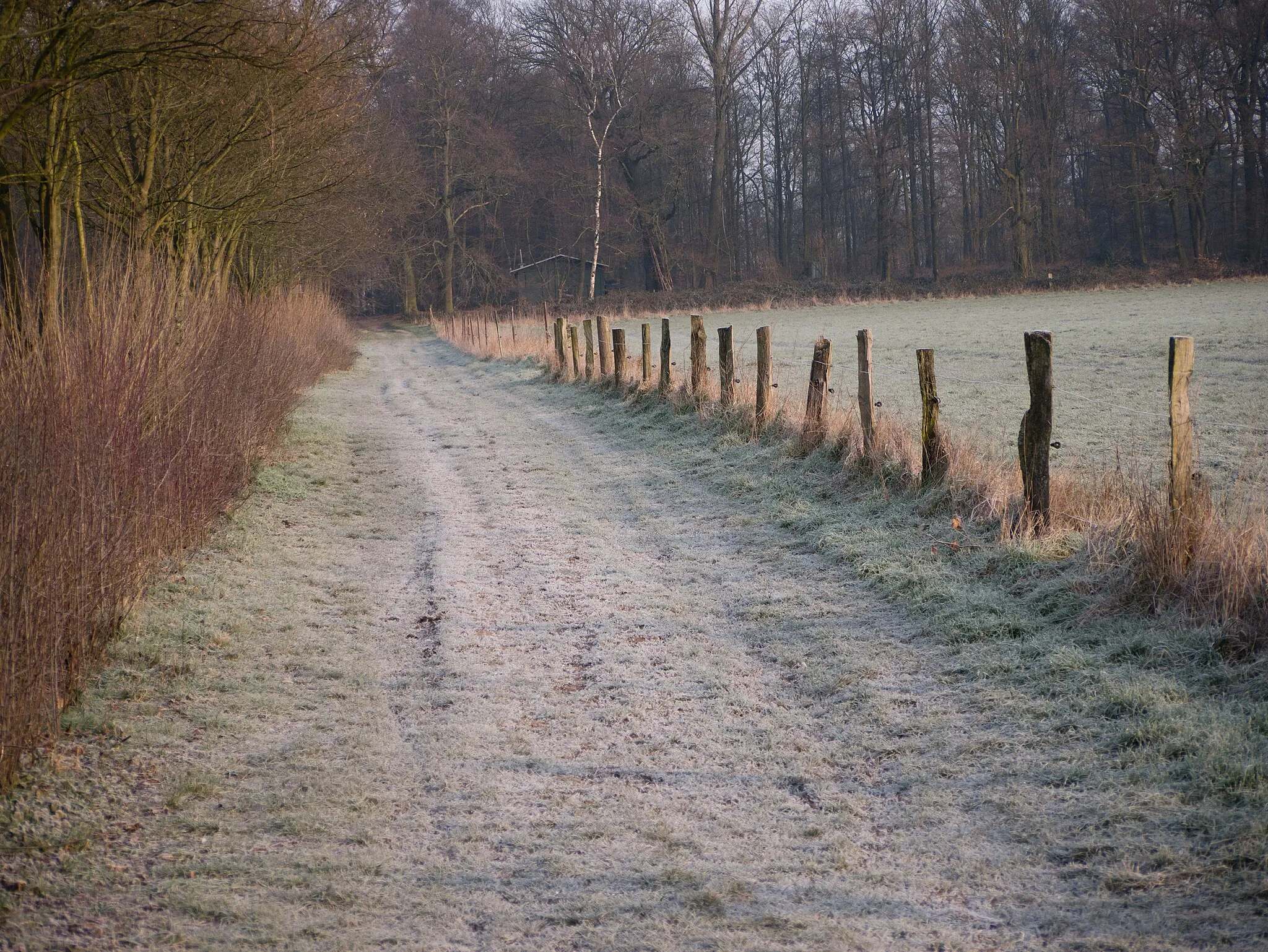 Photo showing: Weg von Hapelrath nach Furth im LSG Kaiserbusch/Furth/Hapelrath/Galkhausen/Reusrath/Mittelheide.