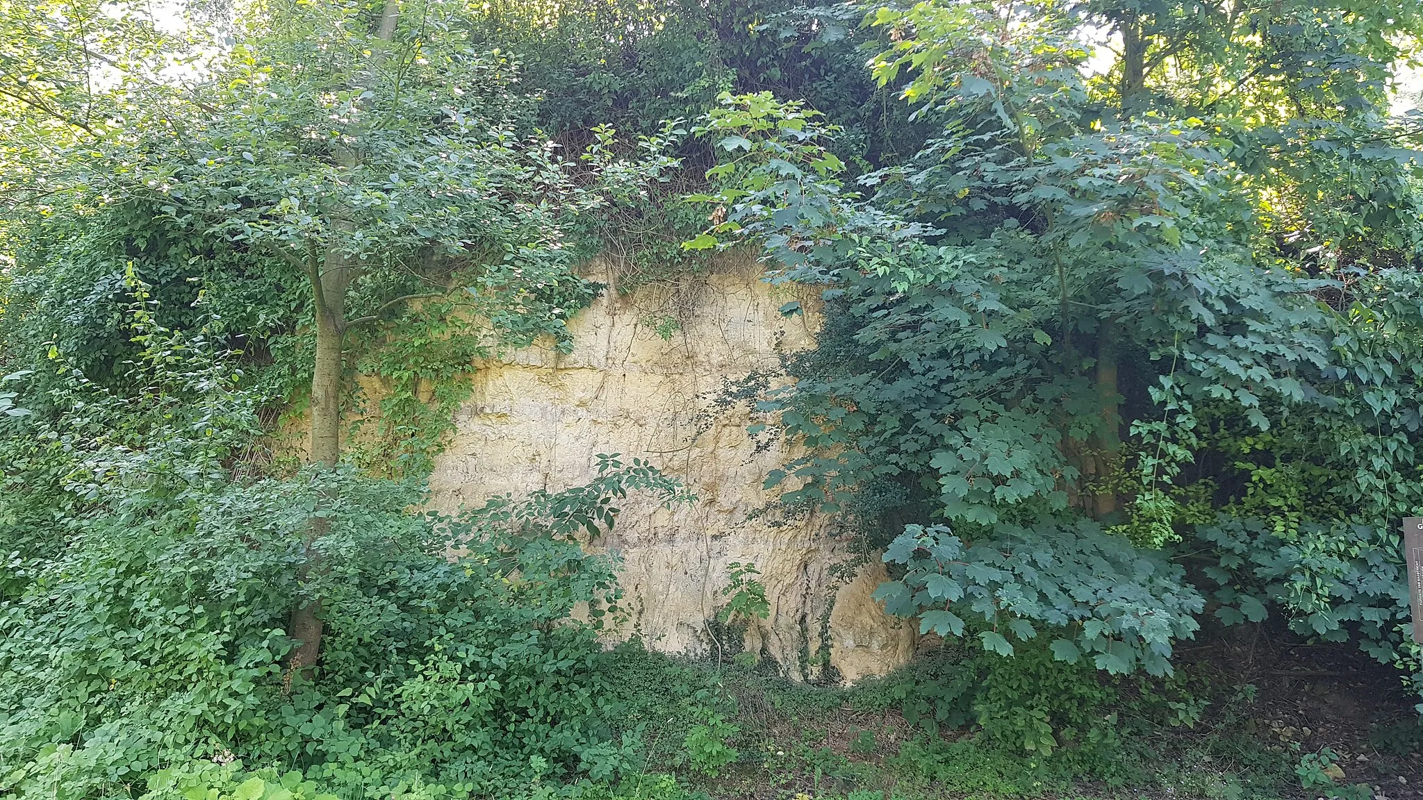 Photo showing: Geologisch monument Groeve Midweg, Voerendaal, Limburg, Nederland