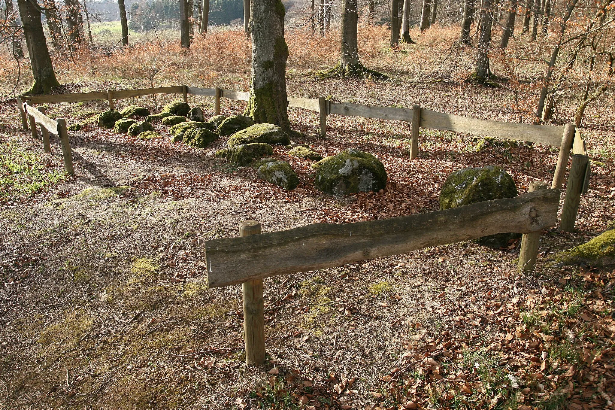 Photo showing: Supposed astronomical stone setting, approx. 1 km north-north-east of Wölferlingen (Westerwald, Germany) at the edge of a forest