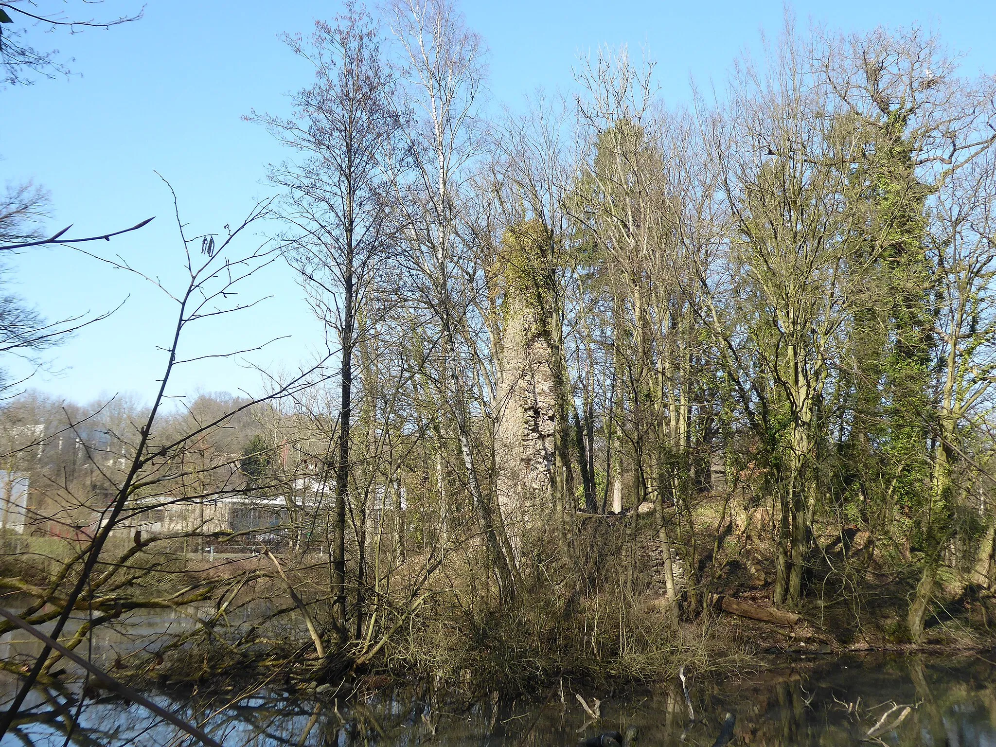 Photo showing: Burg Großbernsau