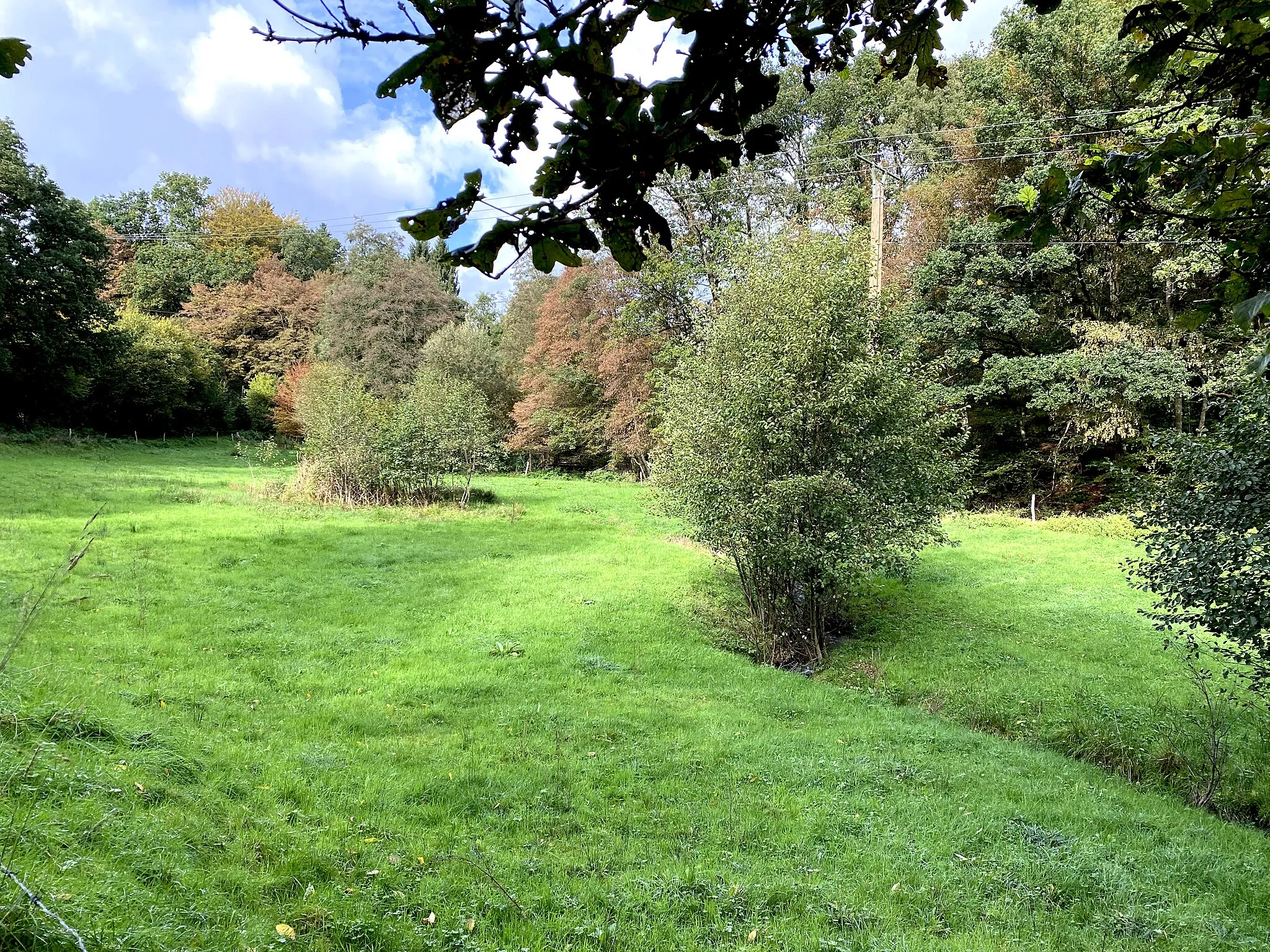 Photo showing: Hommerbach nördlich Waldmühle im Naturschutzgebiet Kalsbachtal