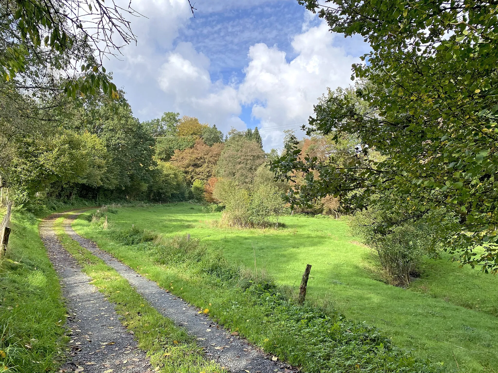 Photo showing: Hommerbach durchfließt eine Feuchtwiese im Naturschutzgebiet Kalsbachtal nördl. Waldmühle