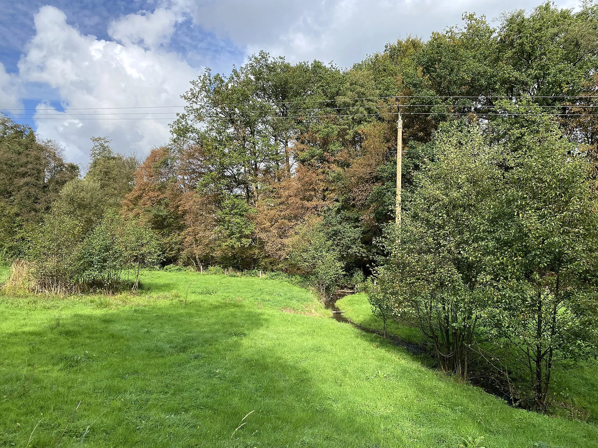 Photo showing: Hommerbach nördliche Waldmühle im Naturschutzgebiet Kalsbachtal