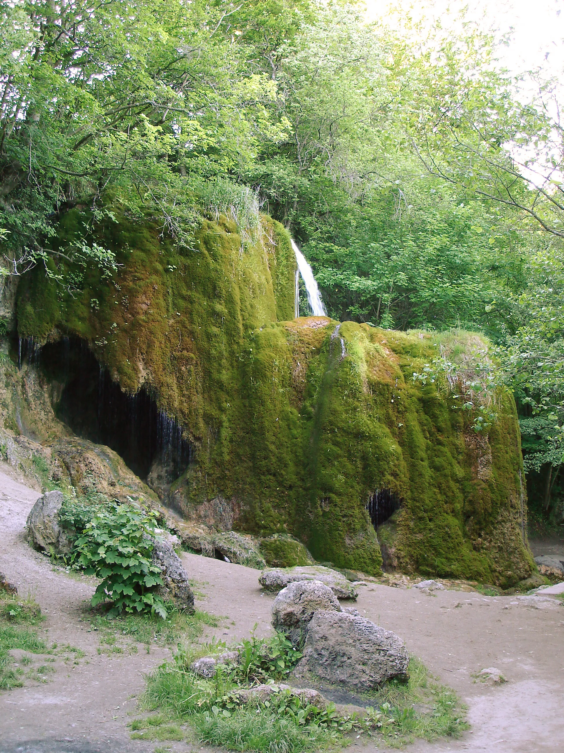 Photo showing: Growing, huge deposit of porous, stable and extremely lightweight limestone rock sediment, forming behind a Karstspring. When moss assimilates its carbon dioxide from calcium carbonate saturated spring water, part of the mineral precipitates chemically. Plant and mineral form to a crust, the plant continues growing on top of this. The basic chemical process is more or less activated depending on physical and chemical conditions of the water and the environment. Deposits of the Travertine terrace also created this formation after 1912, when the springs water course was altered, due to railway construction works.