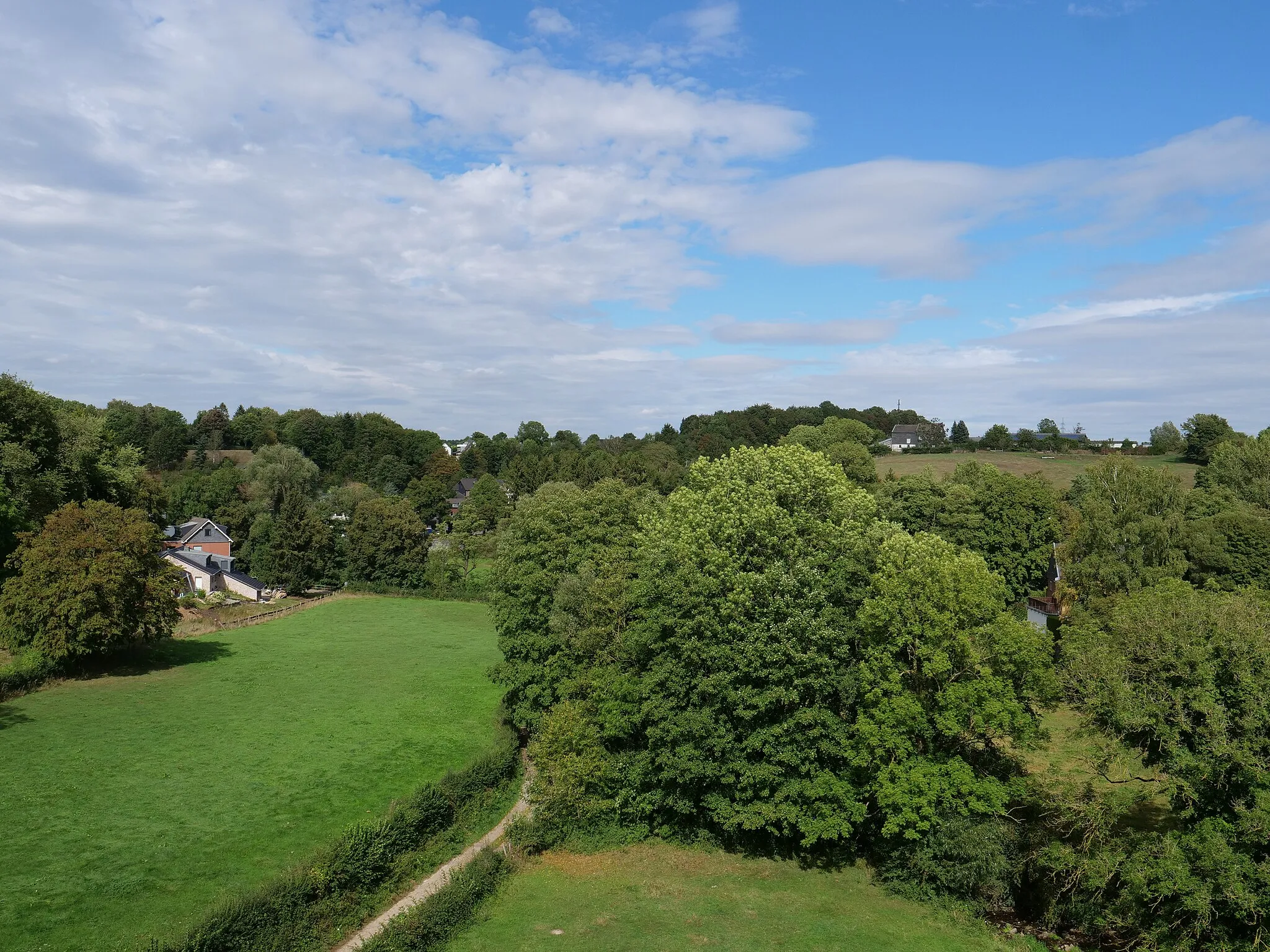 Photo showing: An der Vennbahn zwischen Aachen und Lammersdorf im September 2019.