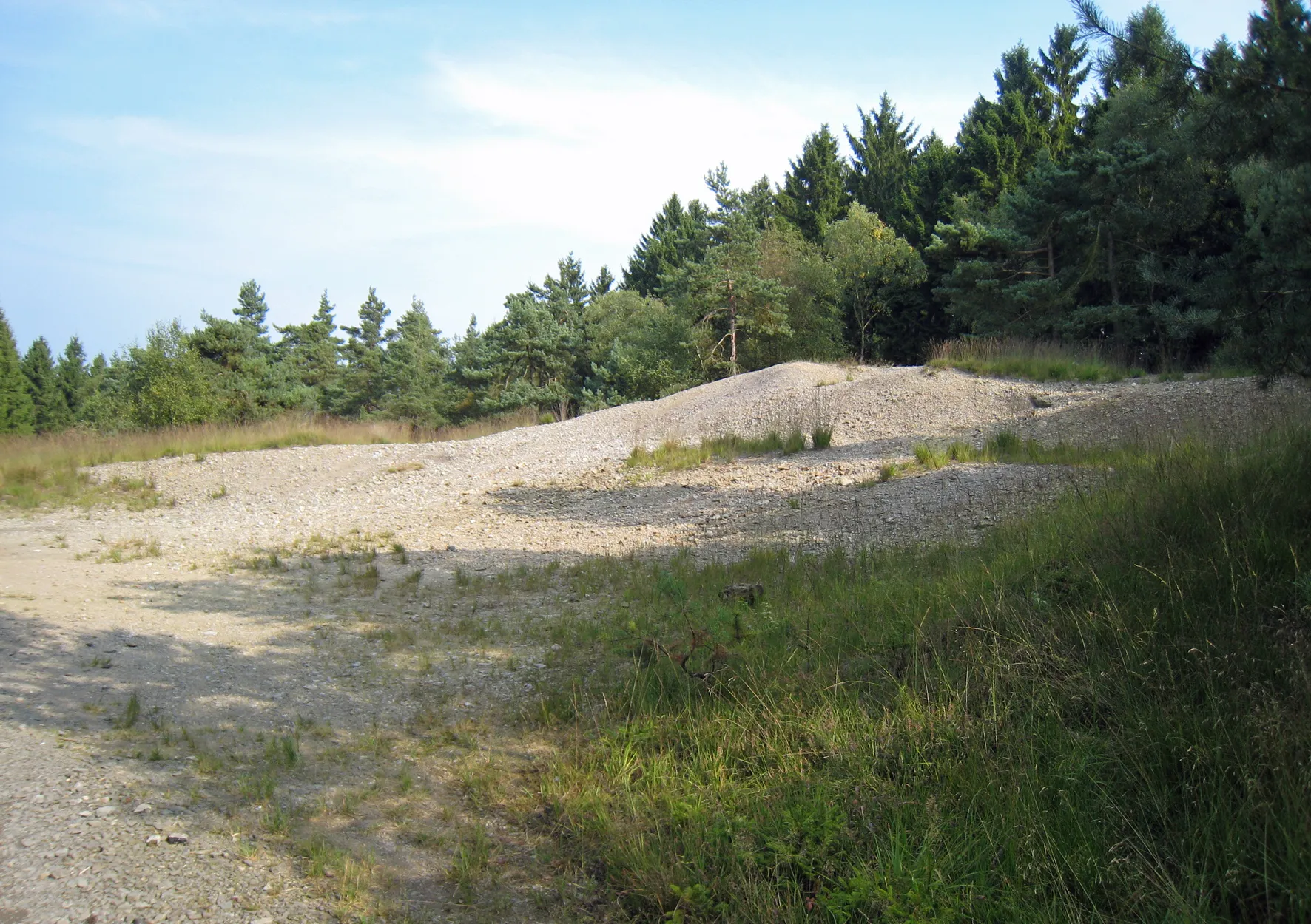 Photo showing: Mittelalterliche Halden auf der Bergkuppe des Heckbergs