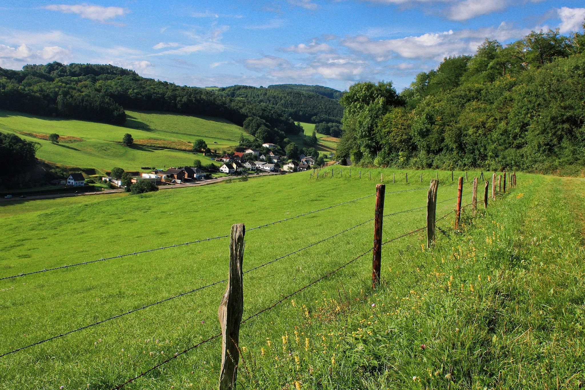 Photo showing: Blick auf Vollem