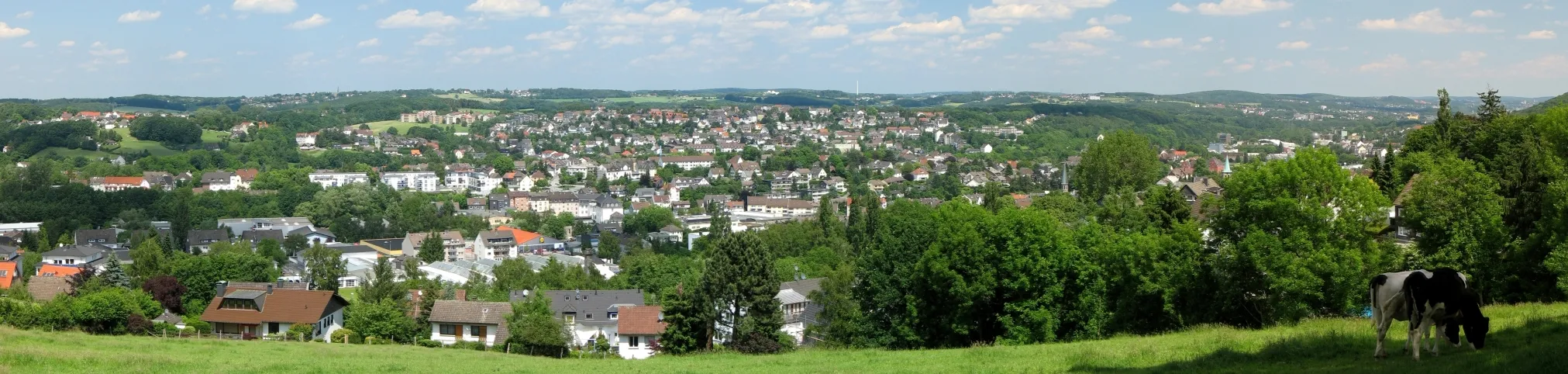 Photo showing: Gevelsberg Panorama im Sommer