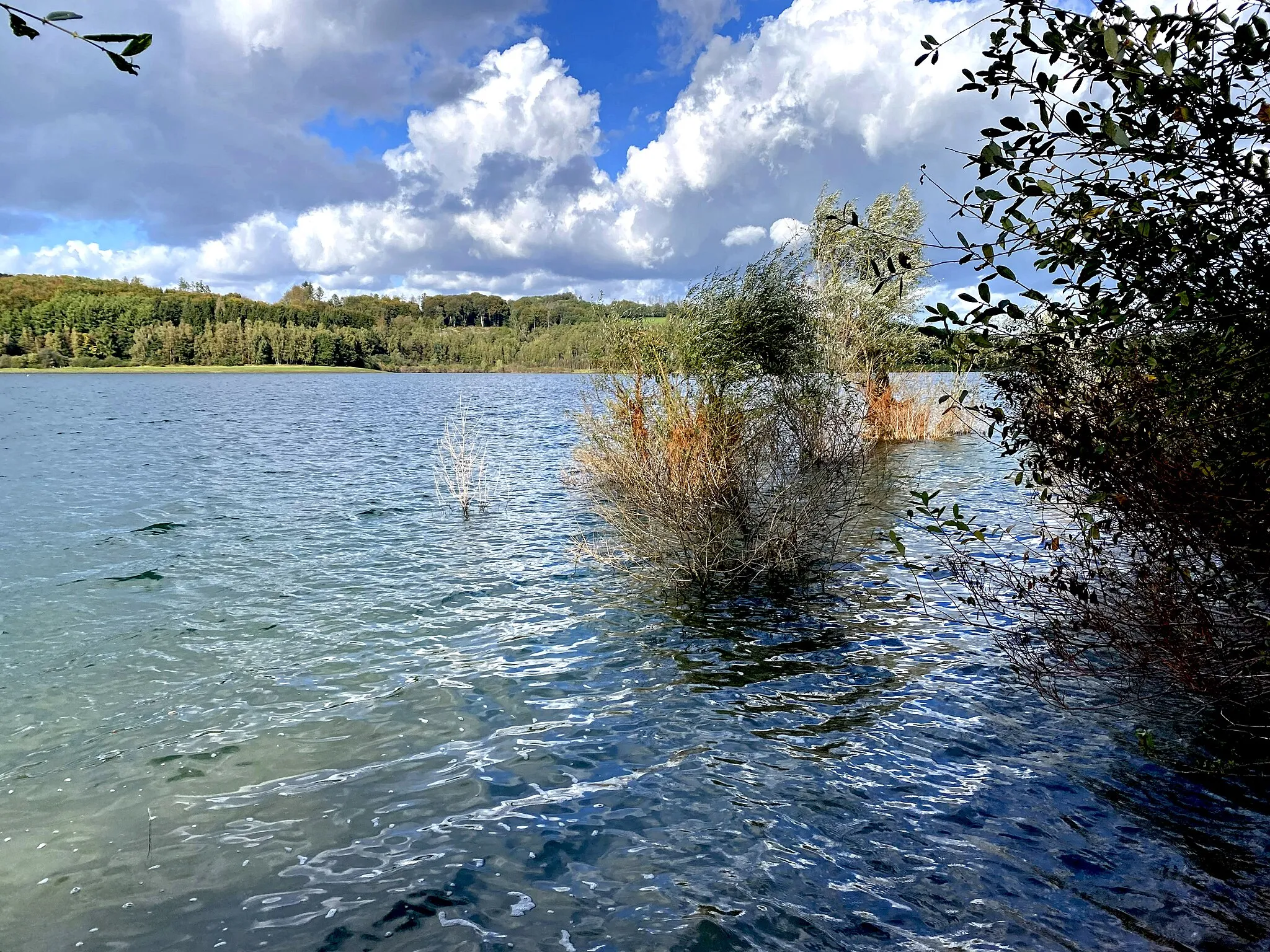 Photo showing: Naturschutzgebiet Große Dhünntalsperre (GL-077) westlich Weiden