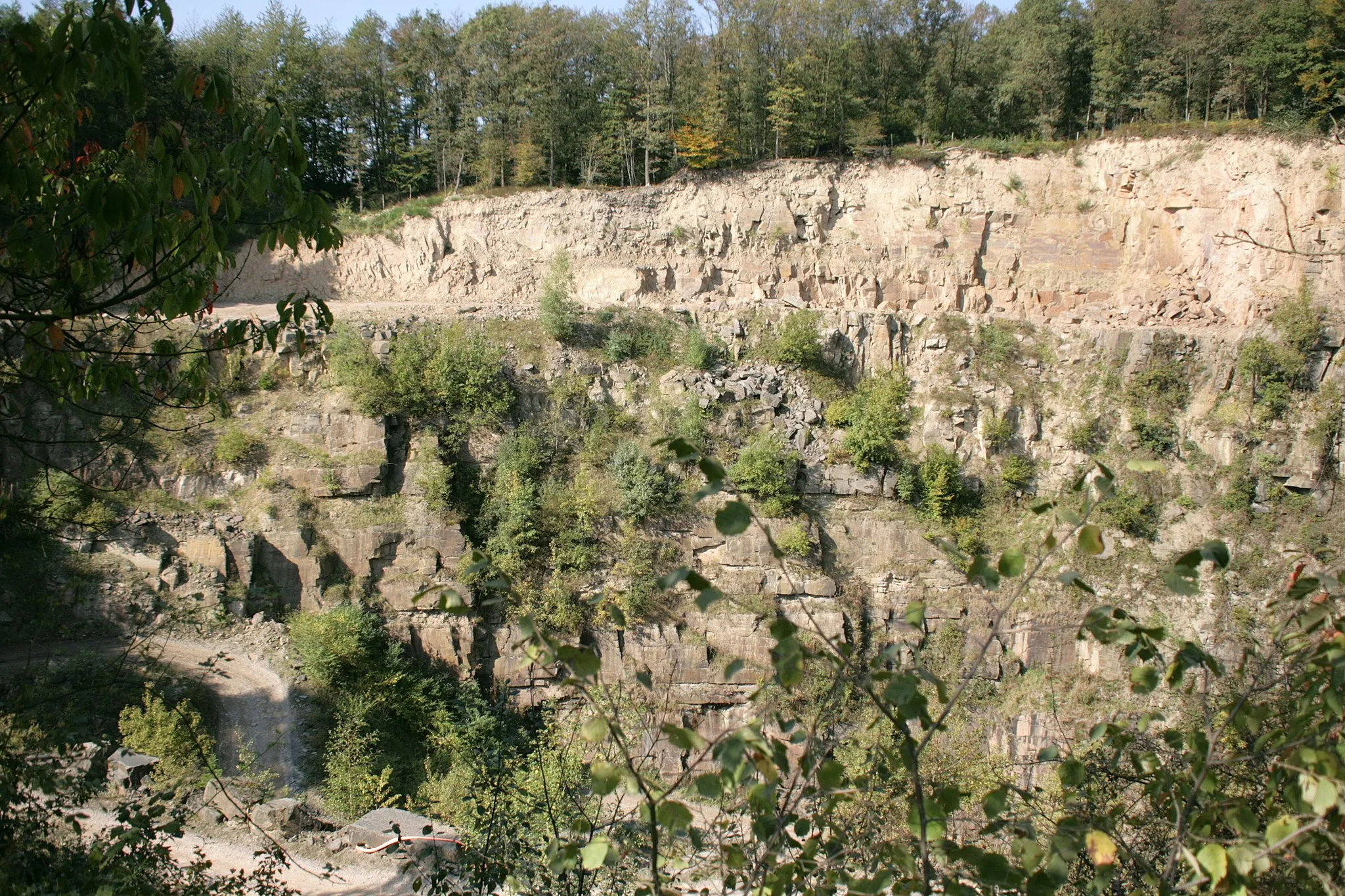 Photo showing: Grauwacke-Steinbrüche an der Eremitage in Lindlar