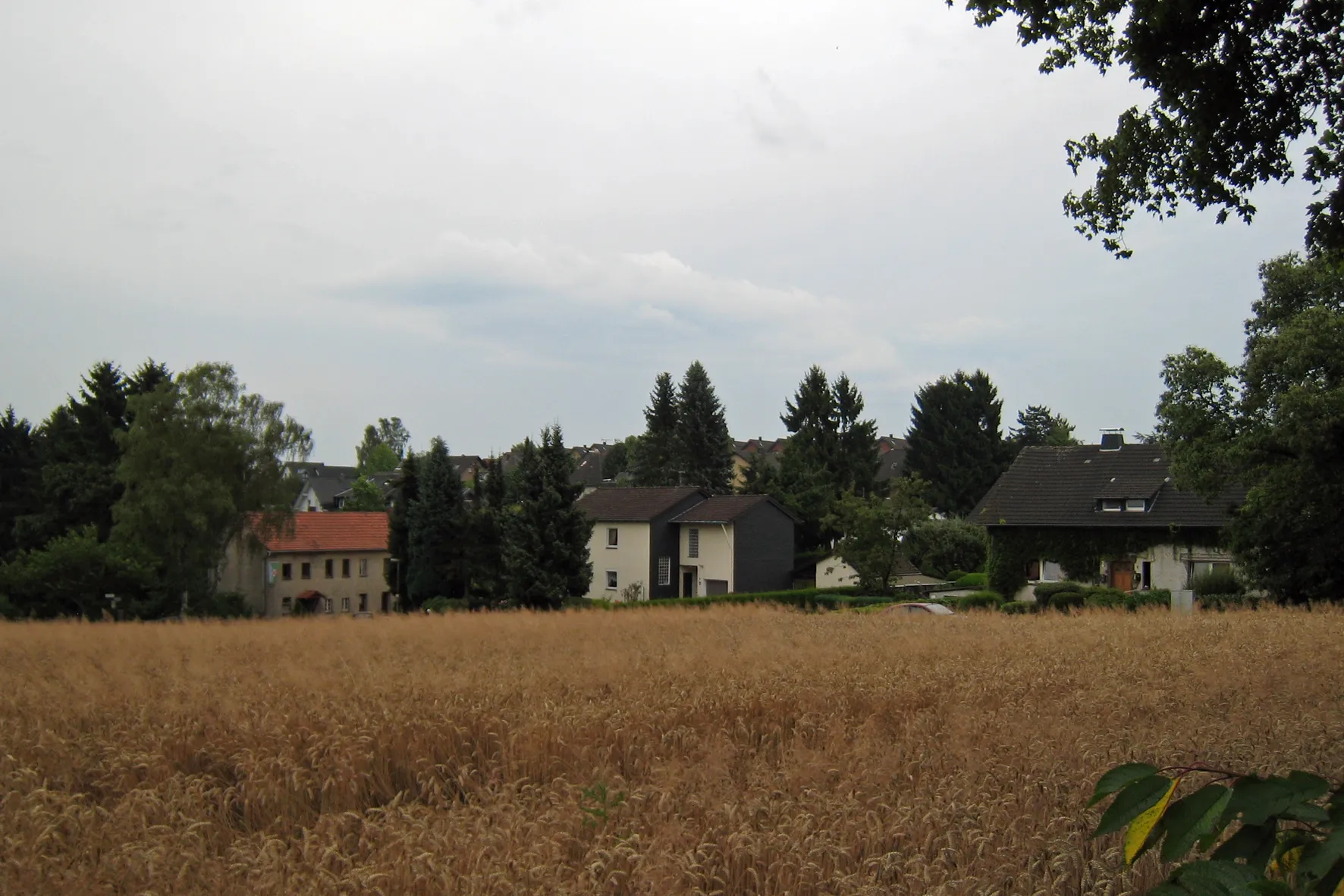 Photo showing: Blick auf Birkerhöhe