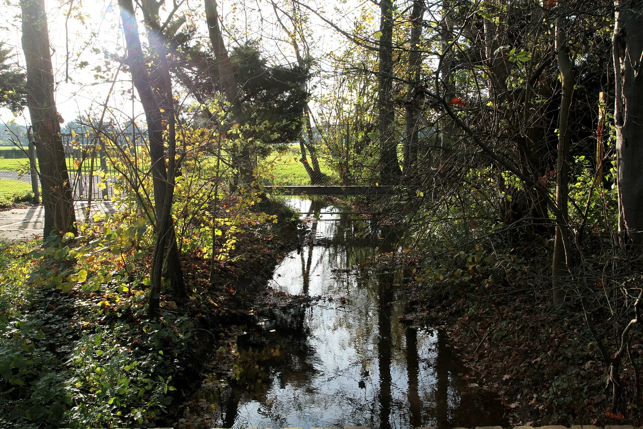 Photo showing: Der Mutzbach am Knochenbergsweg in Köln