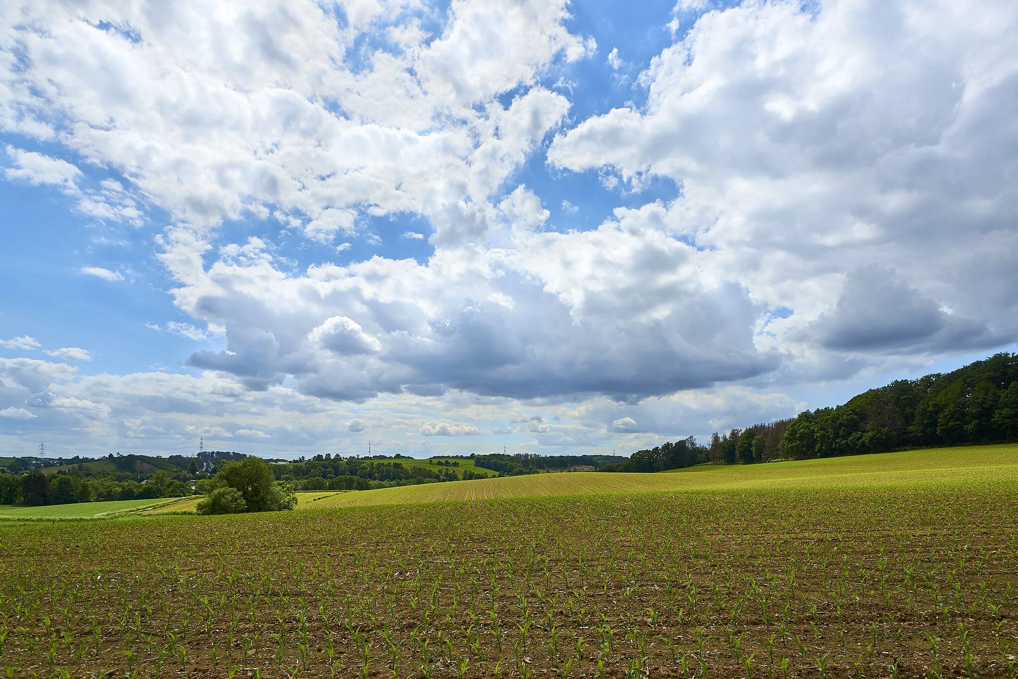 Photo showing: Landwirtschaft in Hückeswagen