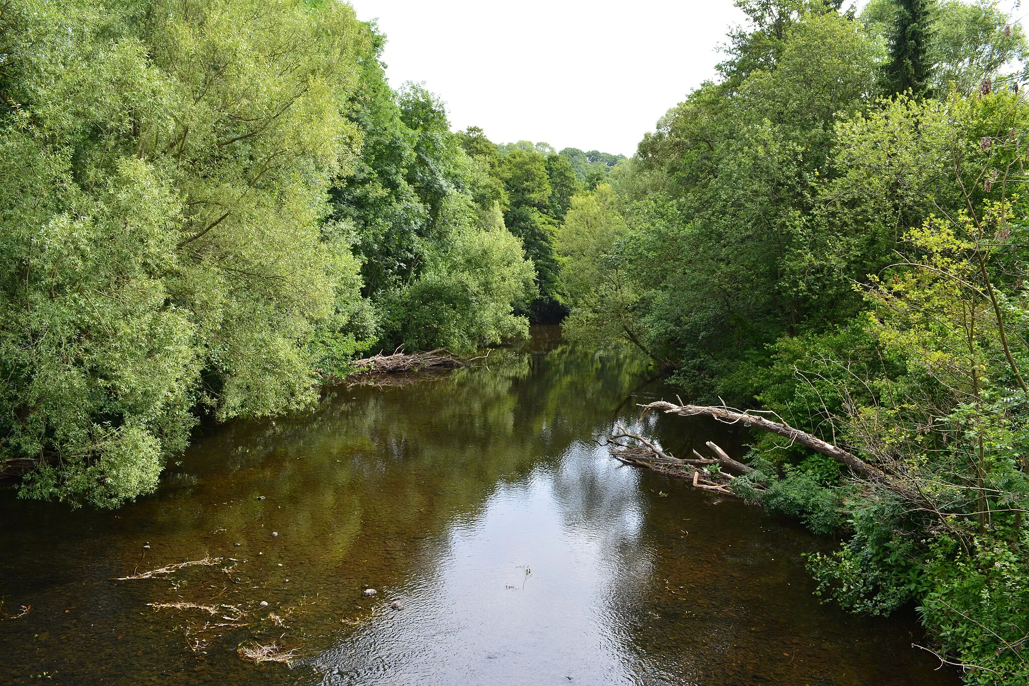 Photo showing: Rur, Untermaubach, 52372 Kreuzau, Nationalpark Eifel, Kreis Düren, Nordrhein-Westfalen, Deutschland, Germany