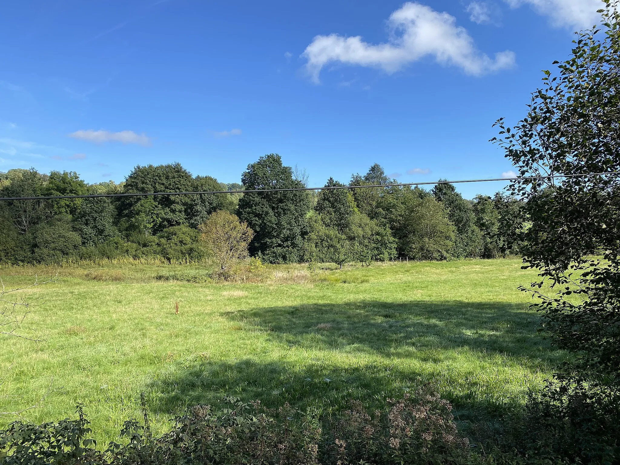 Photo showing: Naturschutzgebiet Nass- und Feuchtgrünlandkomplex östlich Holzwipper