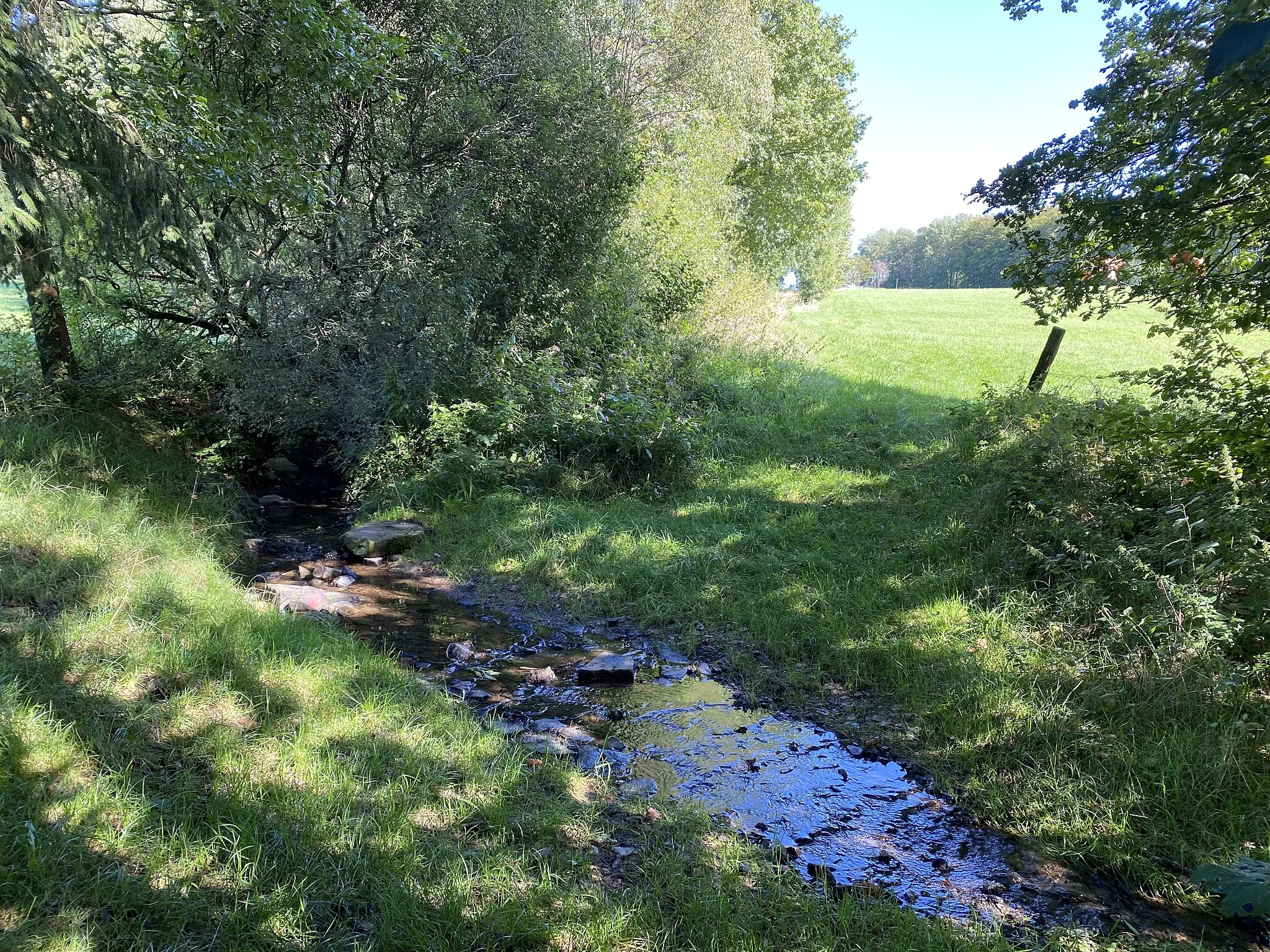 Photo showing: Wipper im Naturschutzgebiet Quellgebiet der Wupper