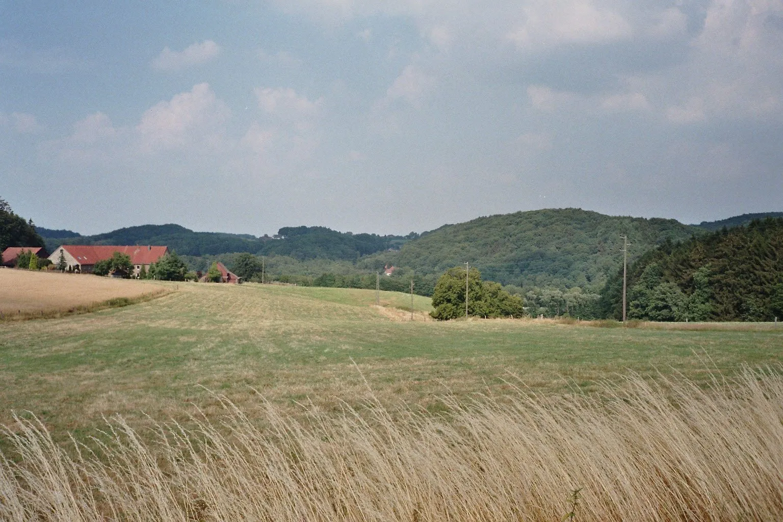 Photo showing: Landschaft im Bereich des Hammertals in Niedersprockhövel, Deutschland; Blick von der Hiddinghauser Straße (Hausnr. 16) am Nordhang des Sirrenbergs zum Hof Niedergethe (links); im Geländeeinschnitt hinter der Hof und vor den Waldhängen im Hintergrund (links Semberg/Stoltenberg in Witten-Durchholz, rechts Schultenbusch in Sprockhövel-Hiddinghausen) verlaufen die A43 und der Pleßbach (das eigentliche Hammertal; dort befindet sich auch rechts etwas außerhalb des Bildes das ehem. Hammerwerk Ibachsmühle). Der abgebildete Bereich gehört weitgehend zum Landschaftsschutzgebiet „Stüter/Sprockhövel/Hiddinghausen“; ein Teil der Wälder im Hintergrund liegt im Landschaftsschutzgebiet „Kämpen/Durchholz“.