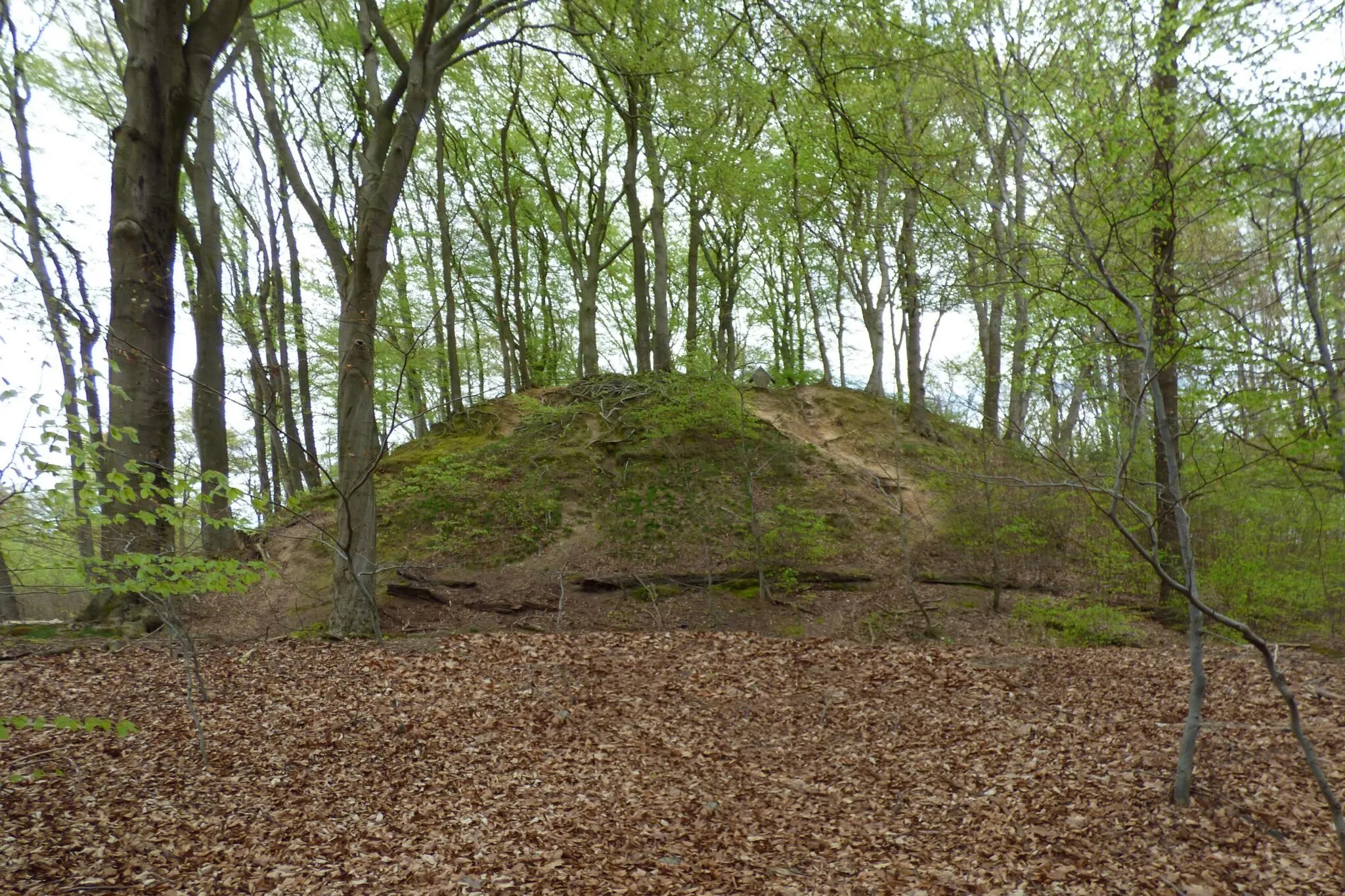 Photo showing: Blick auf die Motte Aldeberg in Arsbeck