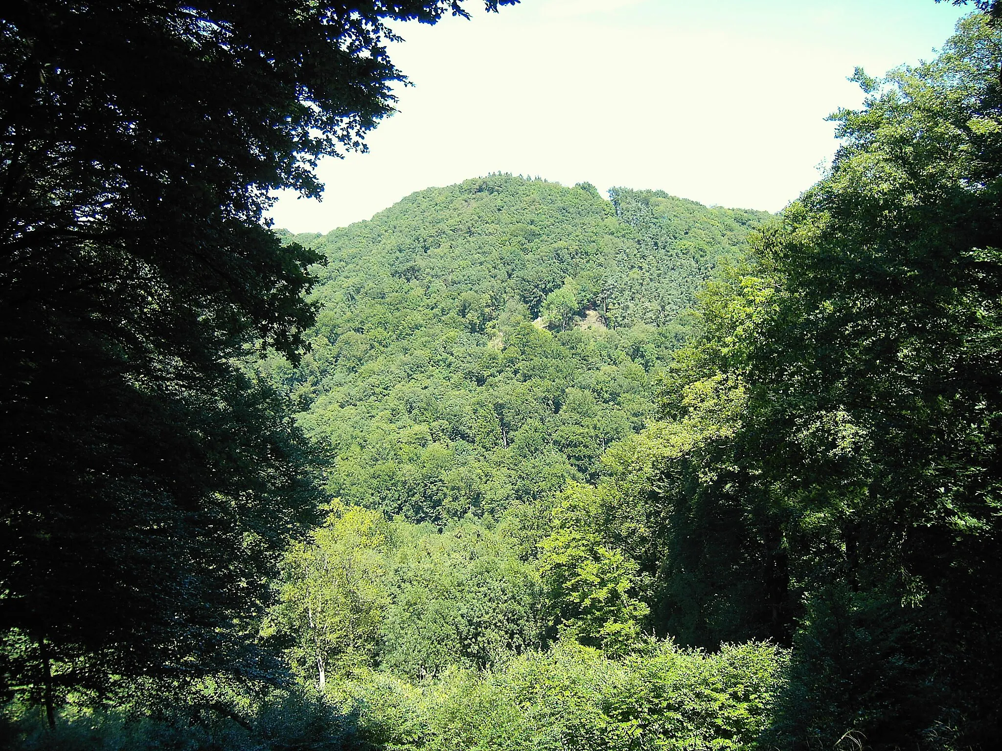 Photo showing: The hill Geisberg in the Siebengebirge seen from a foottrack below the hill Großer Breiberg.