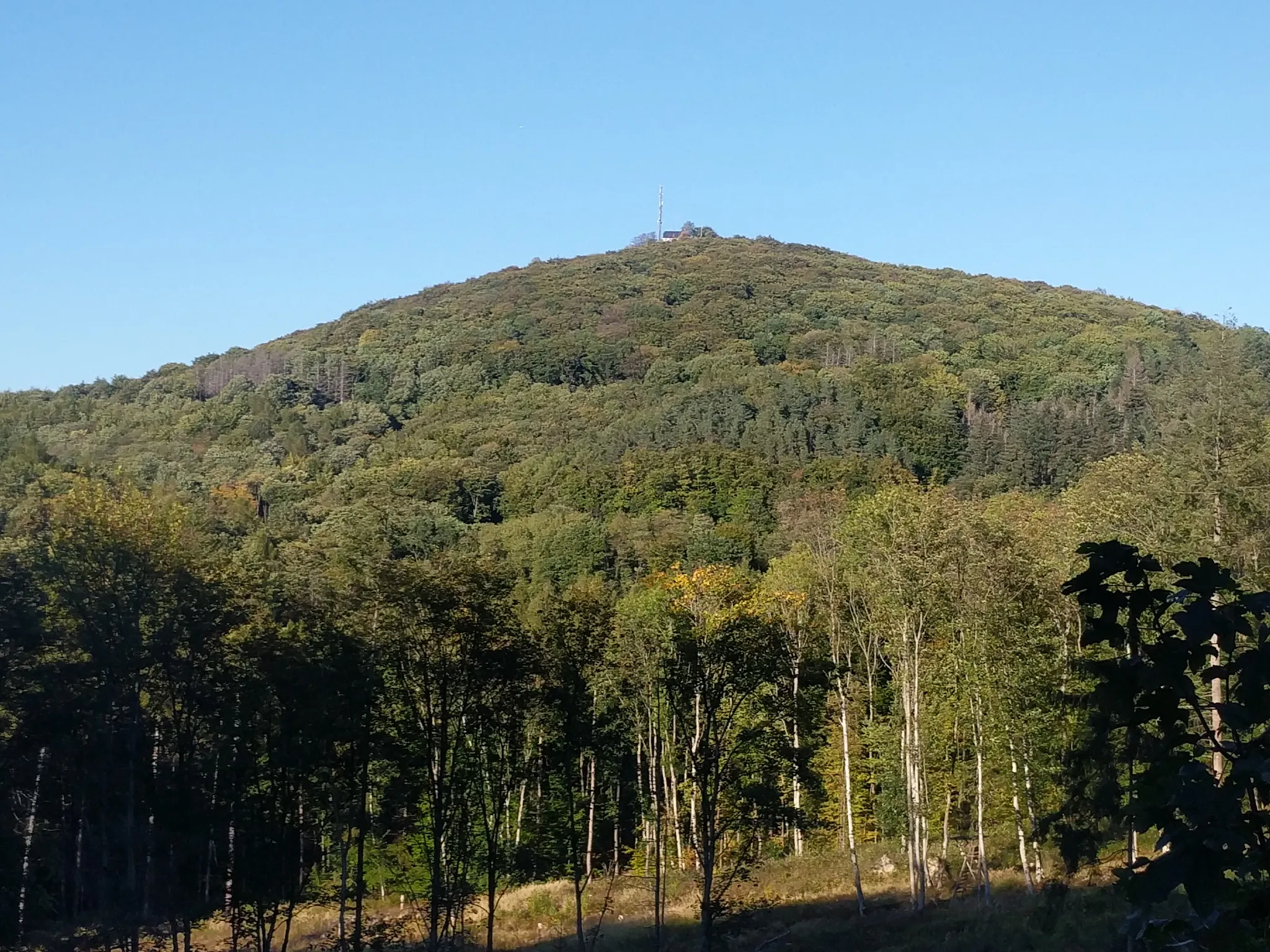 Photo showing: Der große Oelberg, gesehen von der Linkskurve des Wegs westlich des Nasse-Denkmals