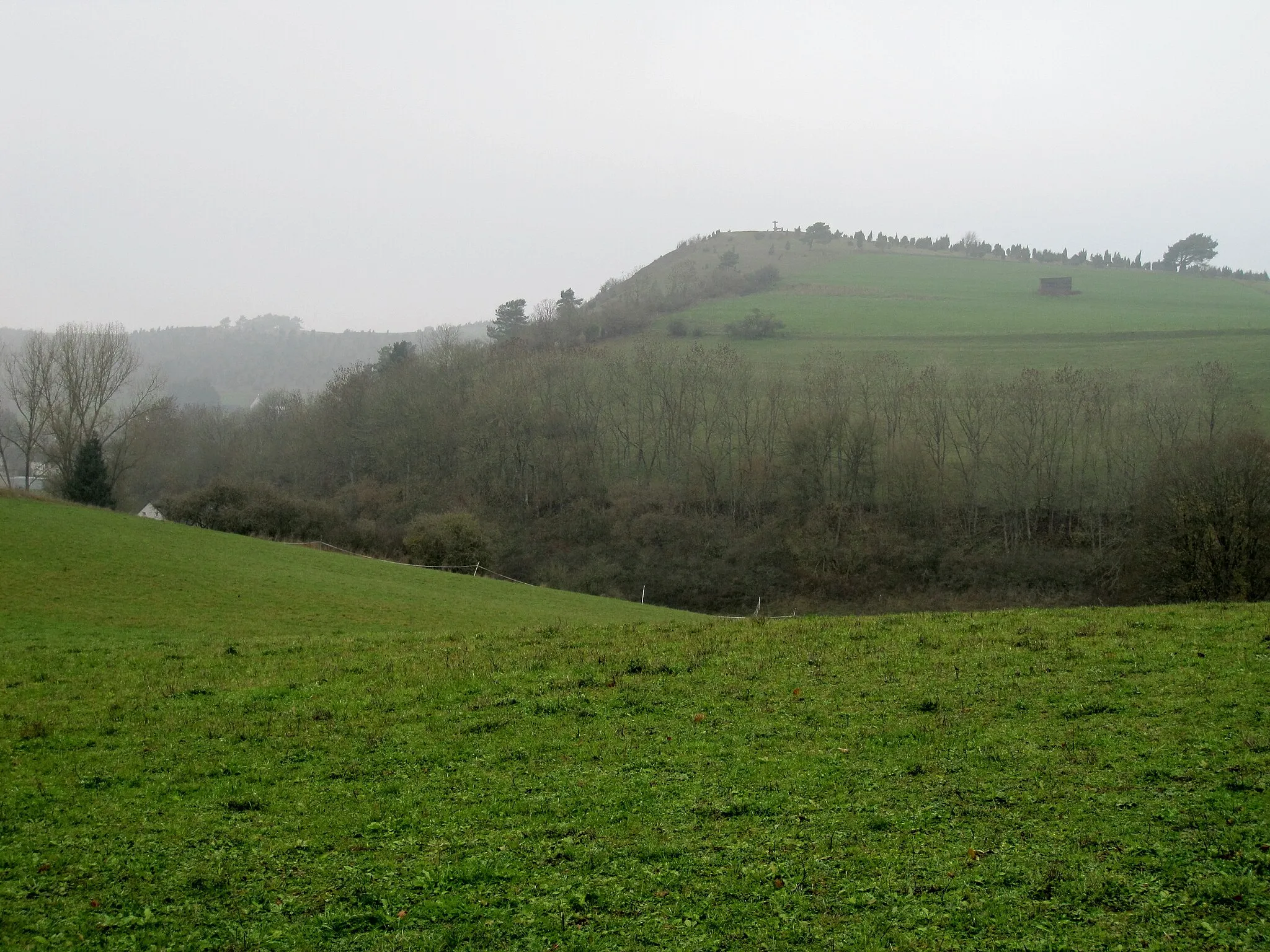 Photo showing: Kalvarienberg (Alendorf)