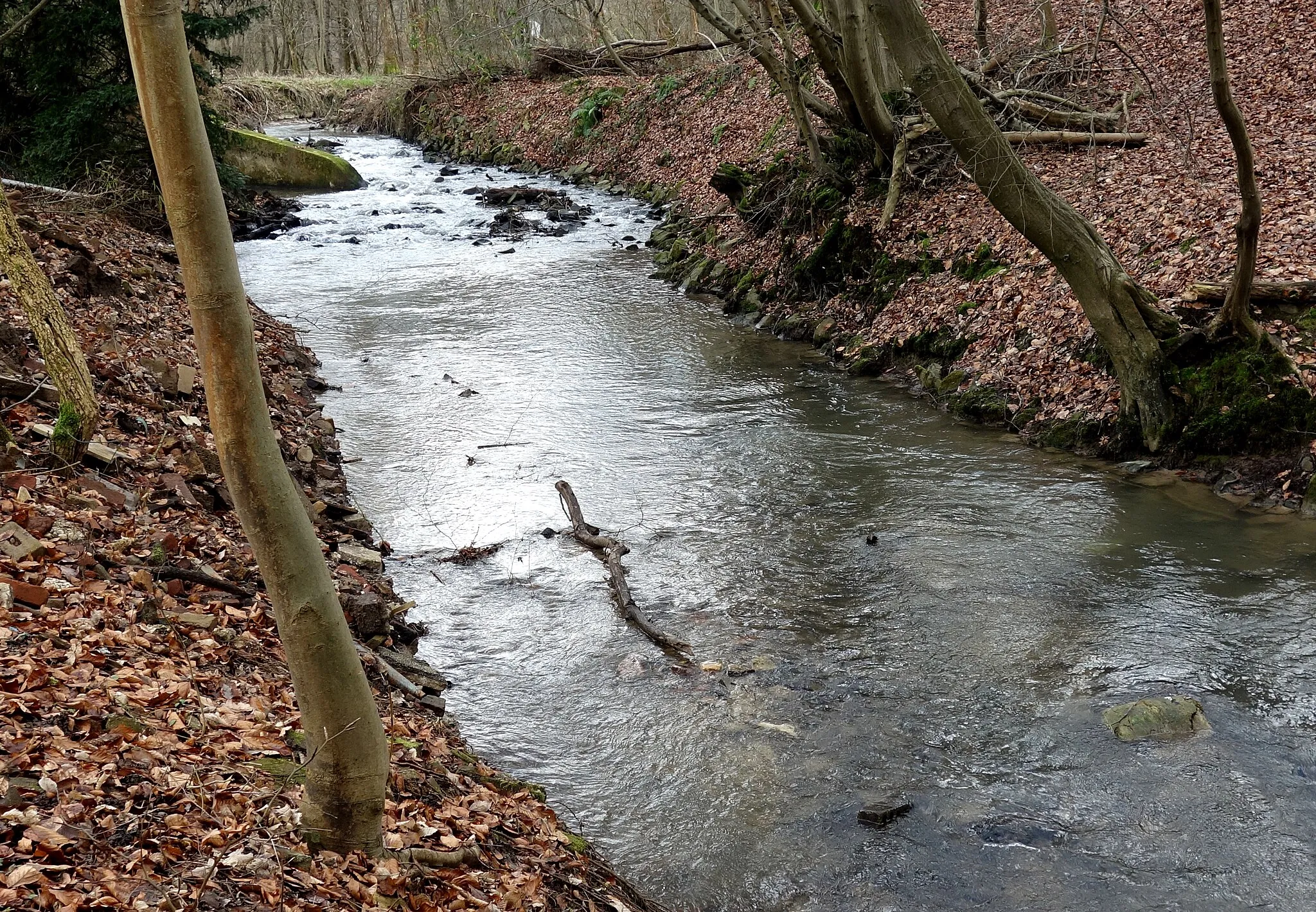 Photo showing: Biesenbacher Mühle in Leverkusen: Verlauf des Wiembachs im Bereich der Mühle