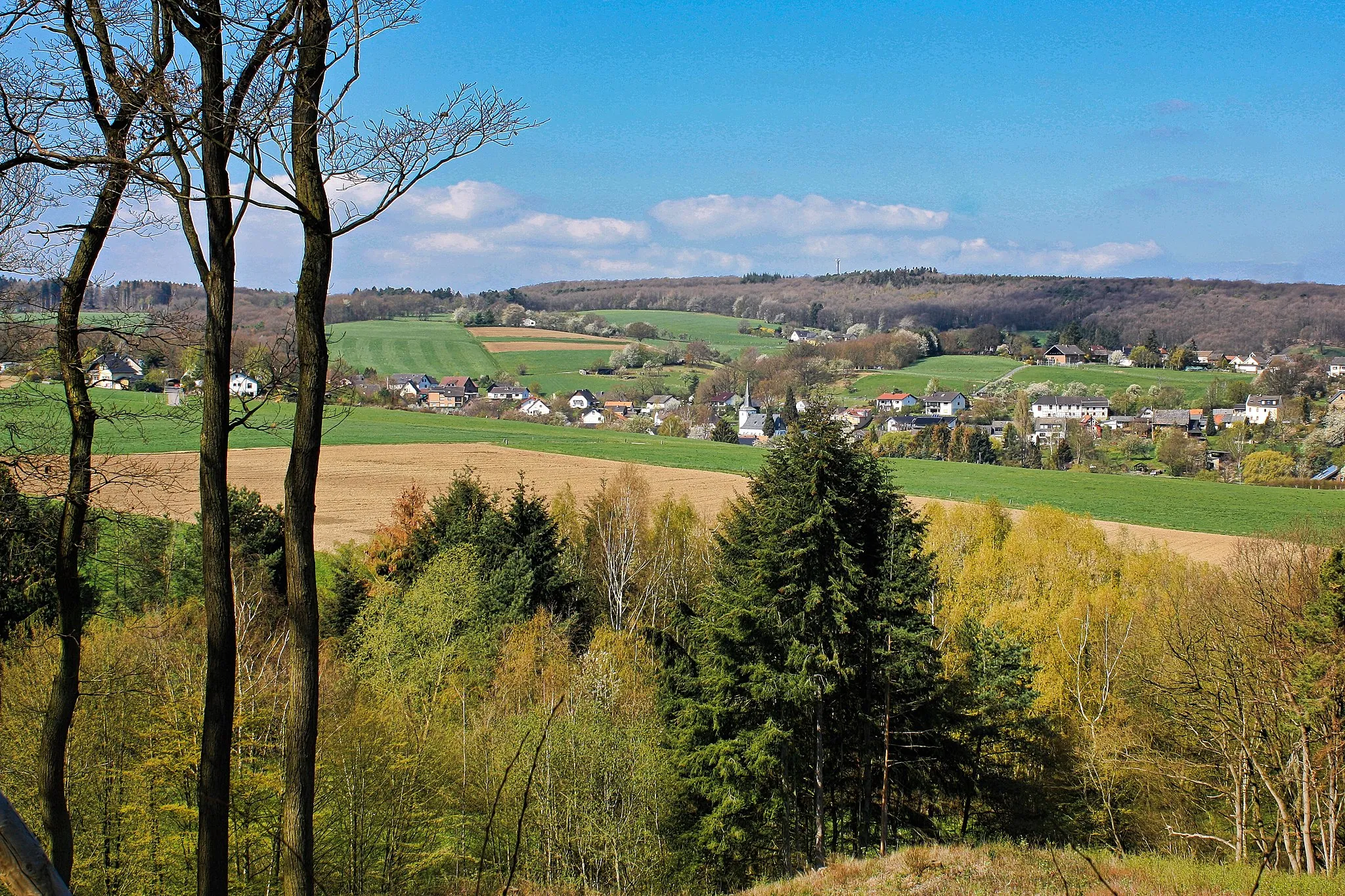 Photo showing: Blick auf Neukirchen von Osten