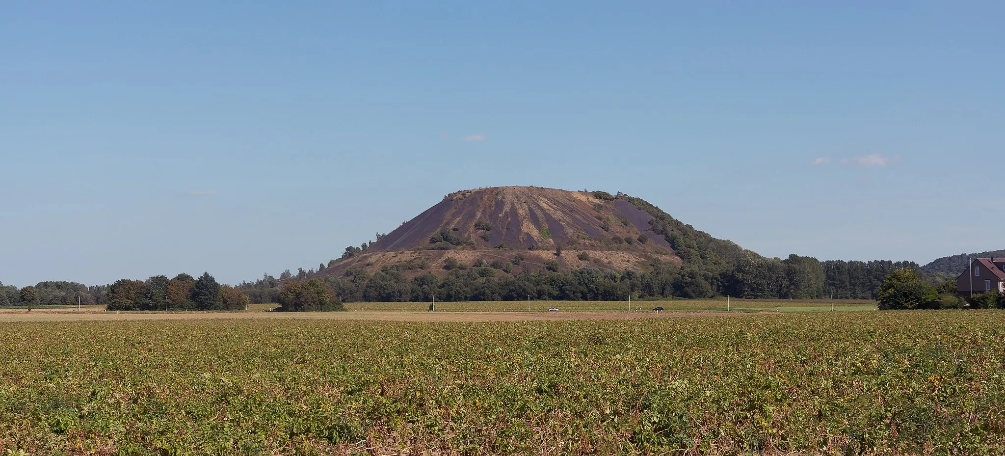 Photo showing: Noppenberg, protected area: Naturschutzgebiet Berghalden-Noppenberg