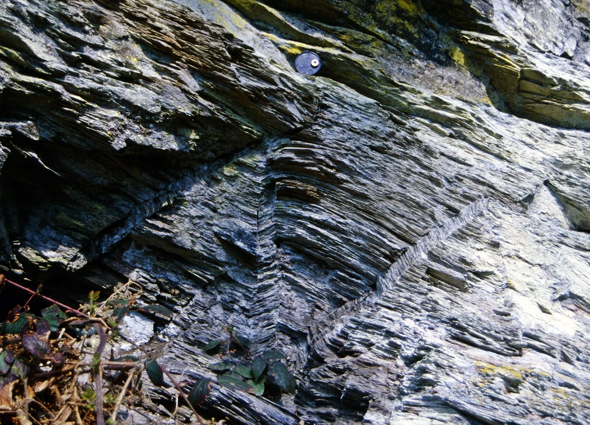 Photo showing: X shaped set of kink bands in the Rurberg Formation near Simonskall. The Variscan cleavage was deformed at a late stage of the deformation when the principal stress was almost parallel to the cleavage plane