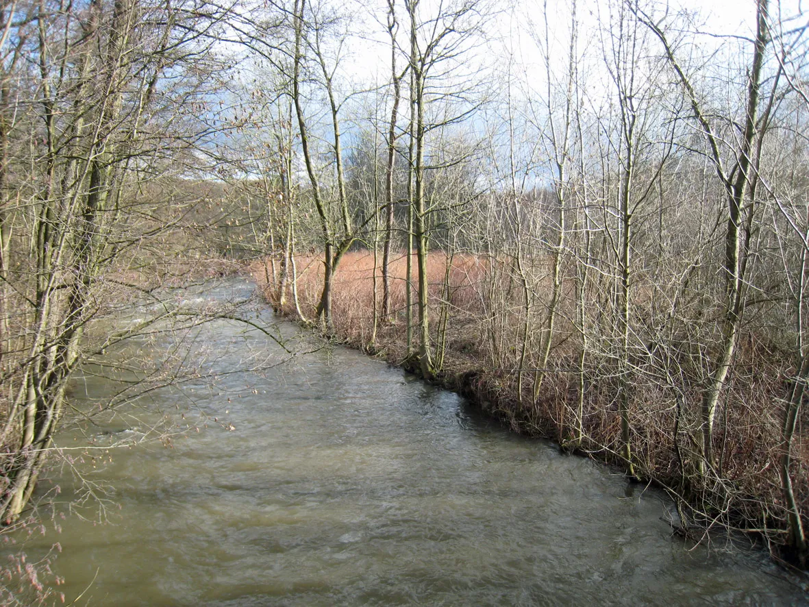 Photo showing: Naturschutzgebiet Dhünnaue