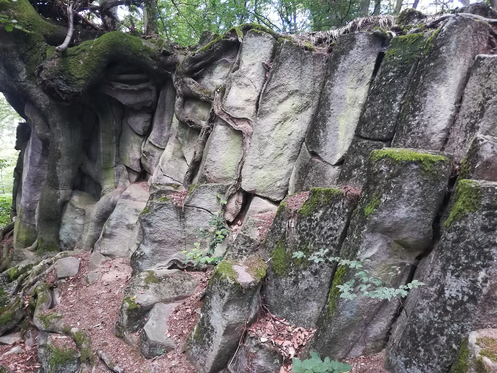 Photo showing: Basaltkrater "Blauer Stein" in Kuchhausen